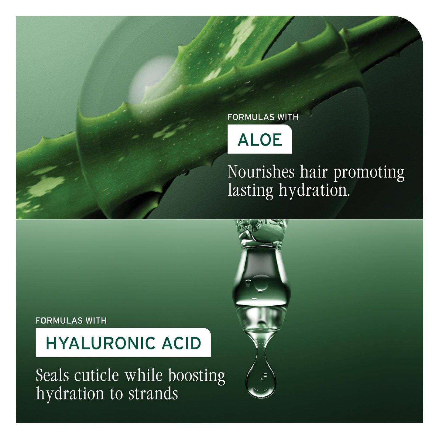 Black Biolage Moisture Method Scalp & Hair Serum: Dry Scalp Treatment with Aloe & Hyaluronic Acid, Lightweight, Vegan, Paraben & Silicone-Free Hydrating Serum