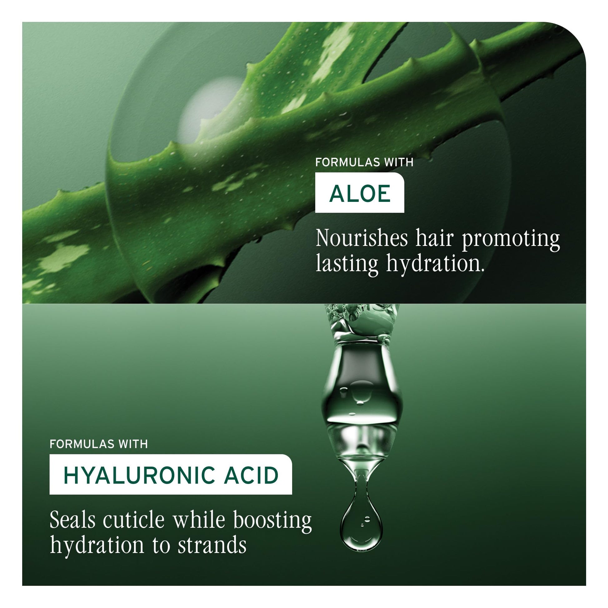 Black Biolage Moisture Method Scalp & Hair Serum: Dry Scalp Treatment with Aloe & Hyaluronic Acid, Lightweight, Vegan, Paraben & Silicone-Free Hydrating Serum