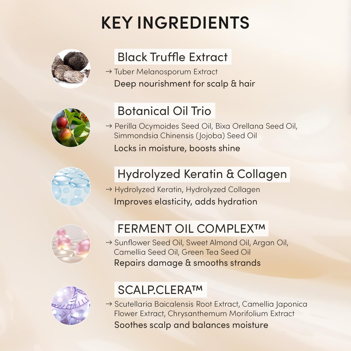 Misty Rose HAARAZ Instant Hair Dye Shampoo Ampoule, Permanent Hair Color Dye - Paraben-Free, 5-Minute Easy and Fast Coloring, Keratin & Collagen, Made in Korea (Dark Brown)