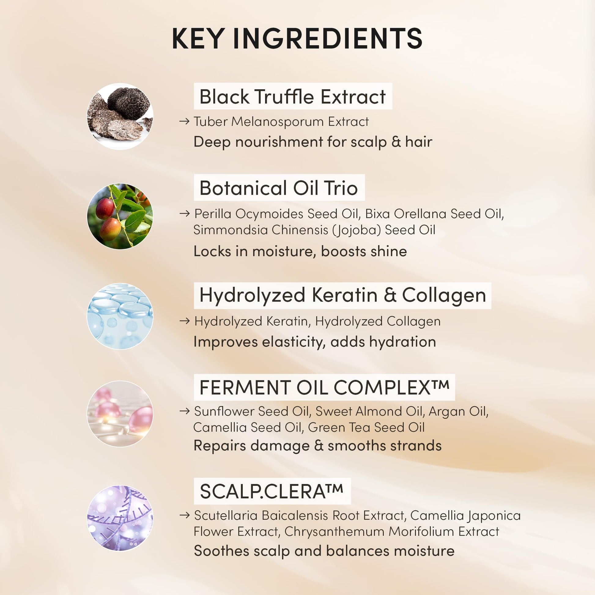Misty Rose HAARAZ Instant Hair Dye Shampoo Ampoule, Permanent Hair Color Dye - Paraben-Free, 5-Minute Easy and Fast Coloring, Keratin & Collagen, Made in Korea (Dark Brown)