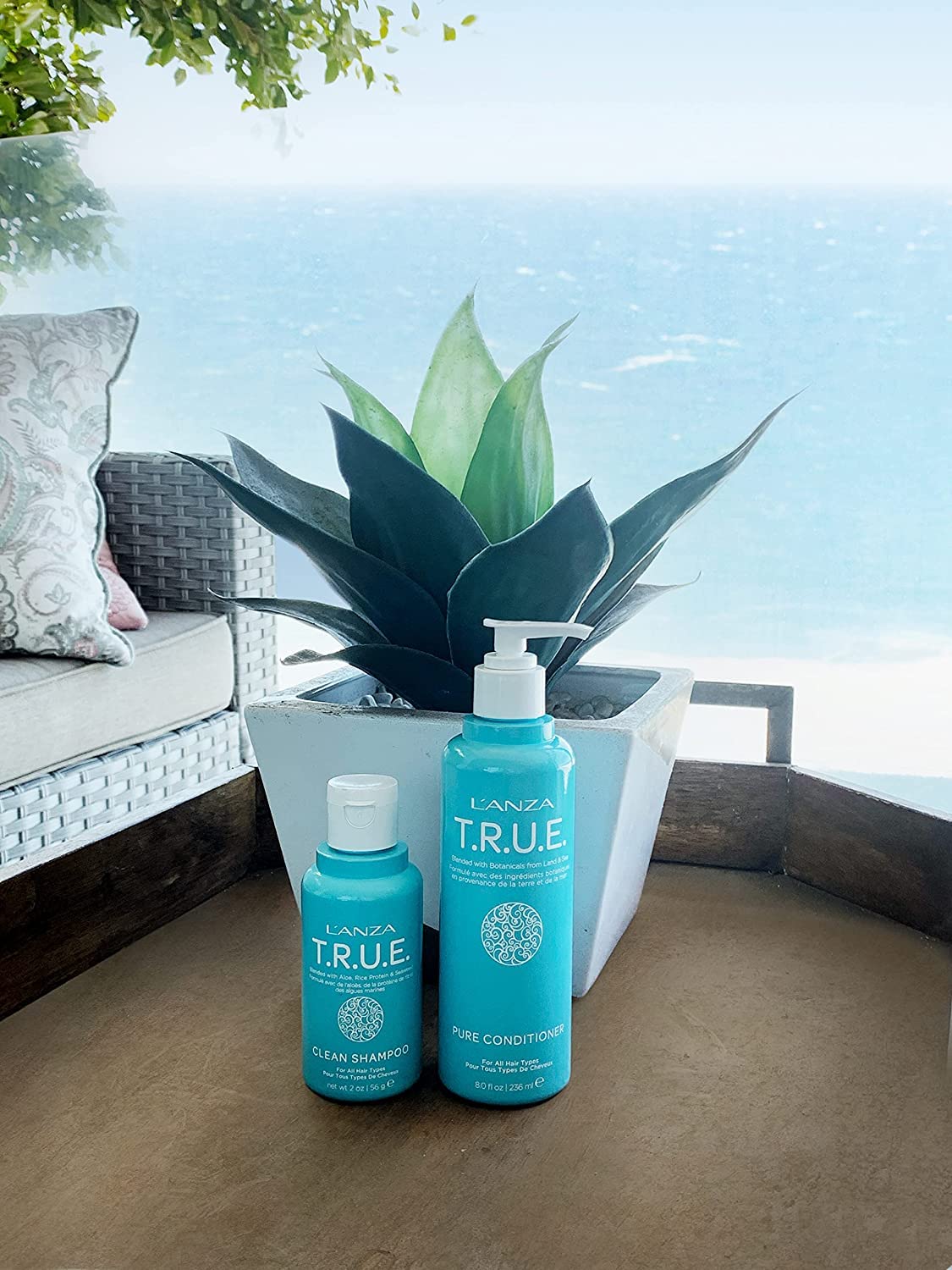 Alice Blue L'ANZA T.R.U.E. Clean Sustainable Shampoo - Rich with Aloe Vera and Rice Protein, Color Safe Daily Hair Care, Fragrance-Free, for Fresh Clean Hair (2 Fl Oz)