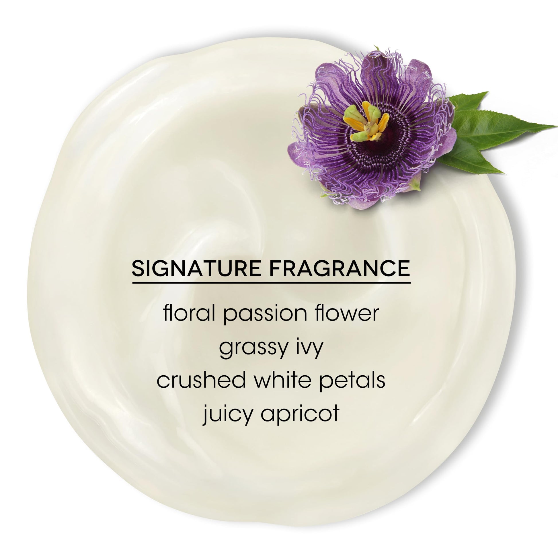 Antique White Bain de Terre Passion Flower Color Preserving Conditioner, Luxurious Hydration for Vibrant Color & Protection from Fading, with Argan & Monoi Oils, Paraben-free, Vegan, 13.5 Fl Oz