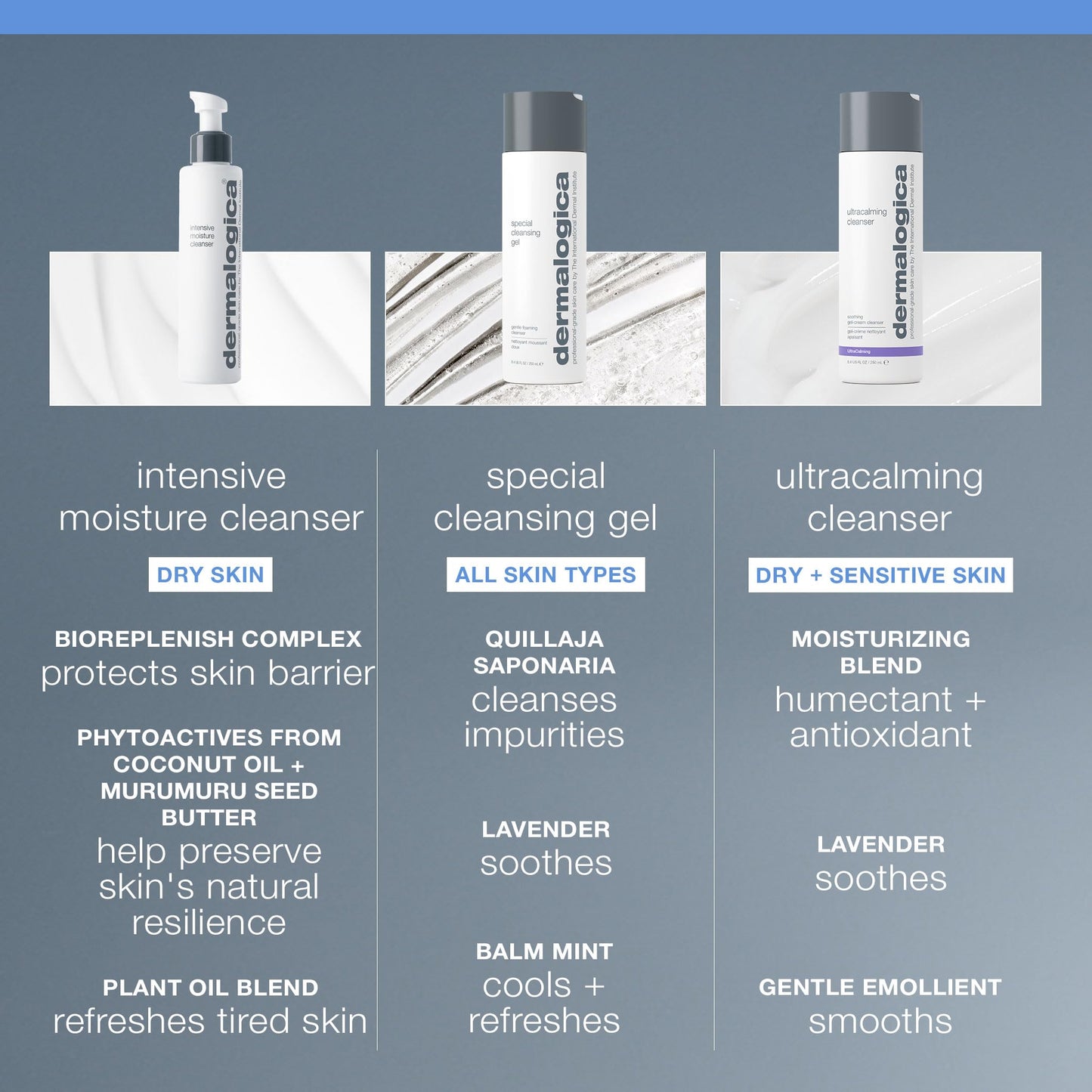 Slate Gray Dermalogica Intensive Moisture Cleanser (10 Fl Oz) Hydrating Face Wash for Dry Skin - Cleans Skin Leaving it Feeling Smoother, Softer, and More Luminous