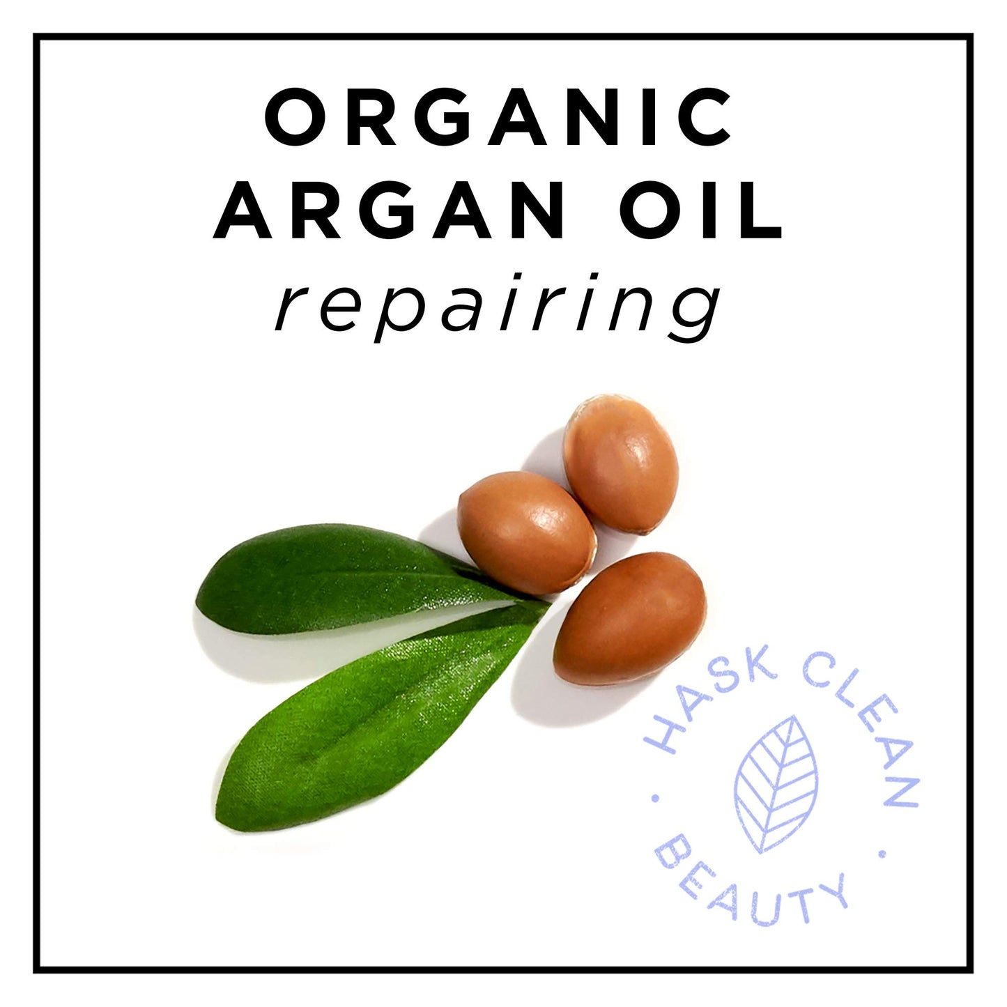 White Smoke Hask Argan Oil From Morocco Repairing Deep Conditioner, Hair Treatment 1.75 oz (Pack of 10)