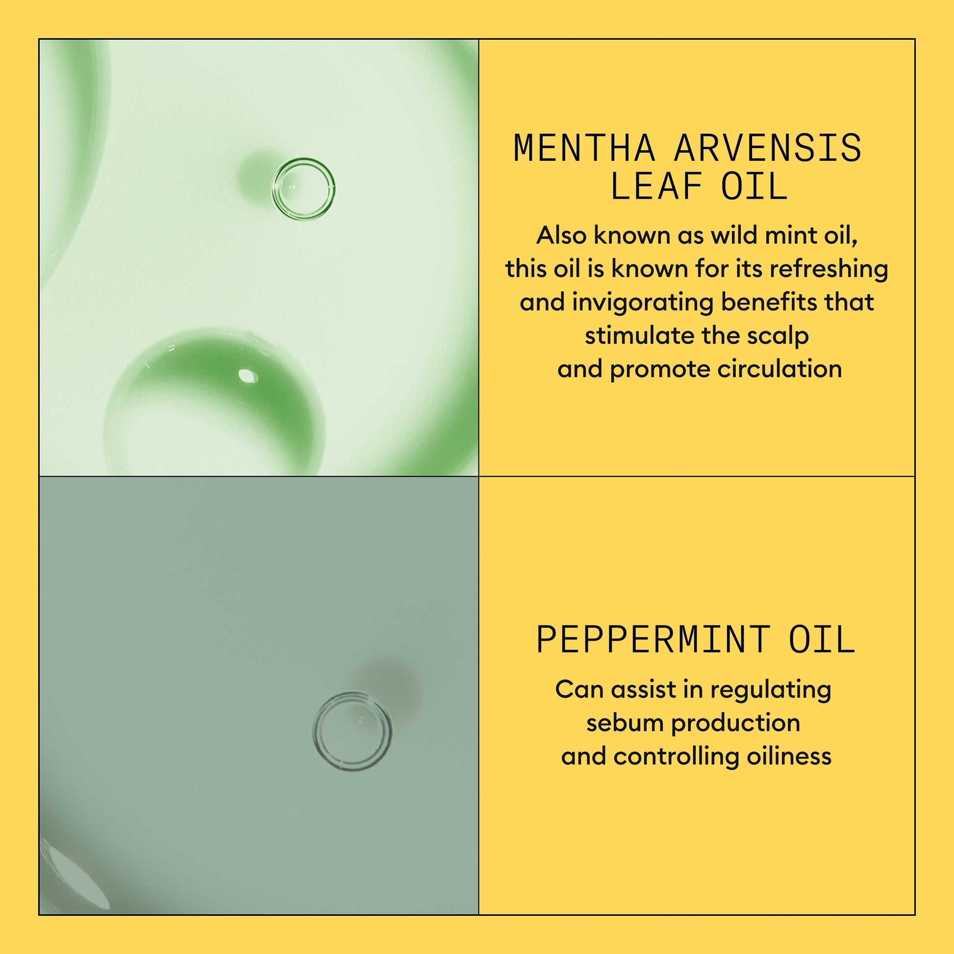 Light Goldenrod Nioxin Scalp + Hair Thickening System 1 Conditioner | For Natural or Untreated Hair with Light Thinning | With Niacinamide and Biotin | 16.9 Fl oz.