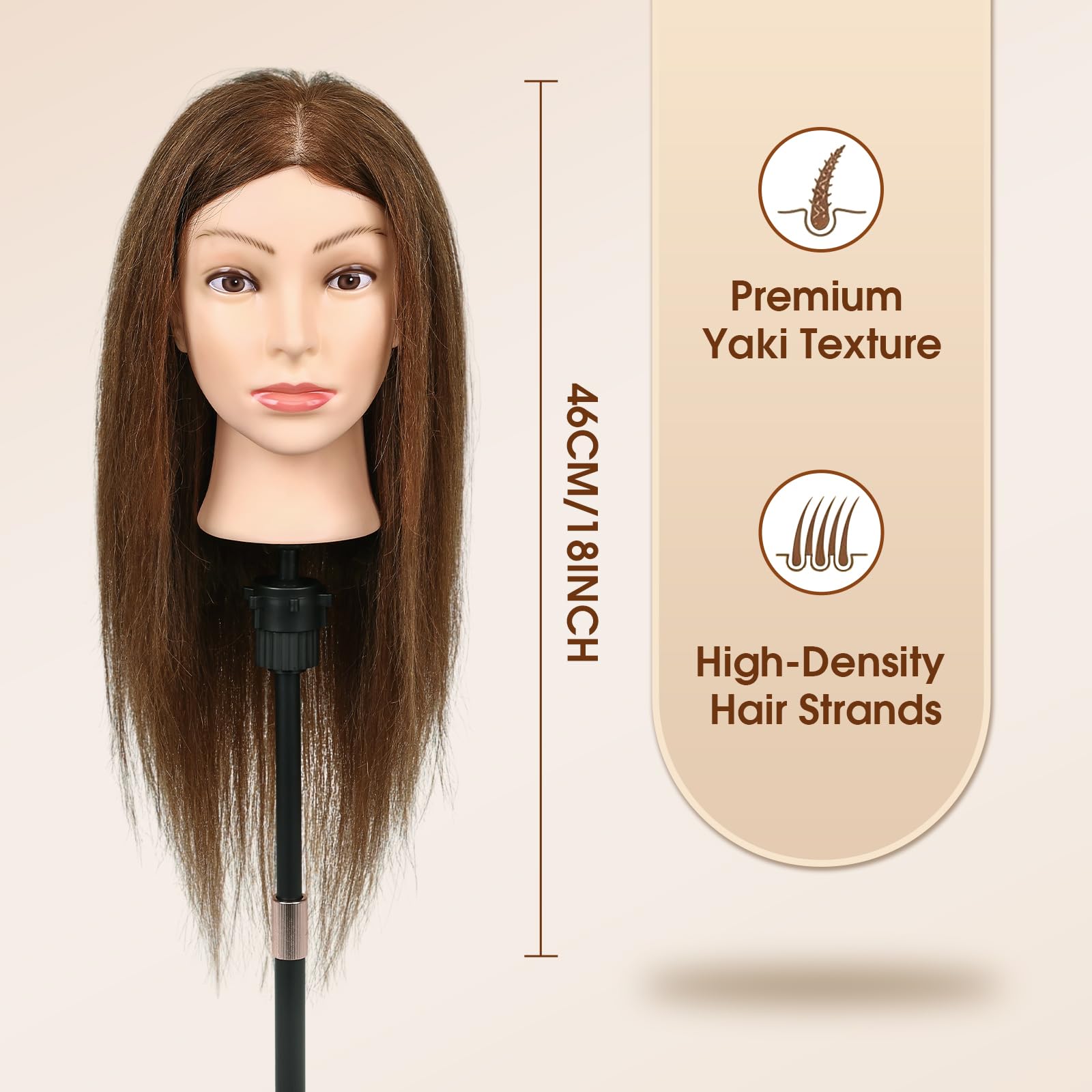 Misty Rose 18 Inch 100% Real Human Hair Mannequin Head, Cosmetology Manikin Head Training Doll Head for Hair Styling, Braiding, Curling Practice, with Table Clamp Holder & Complete Styling Tools Kit(Brown)