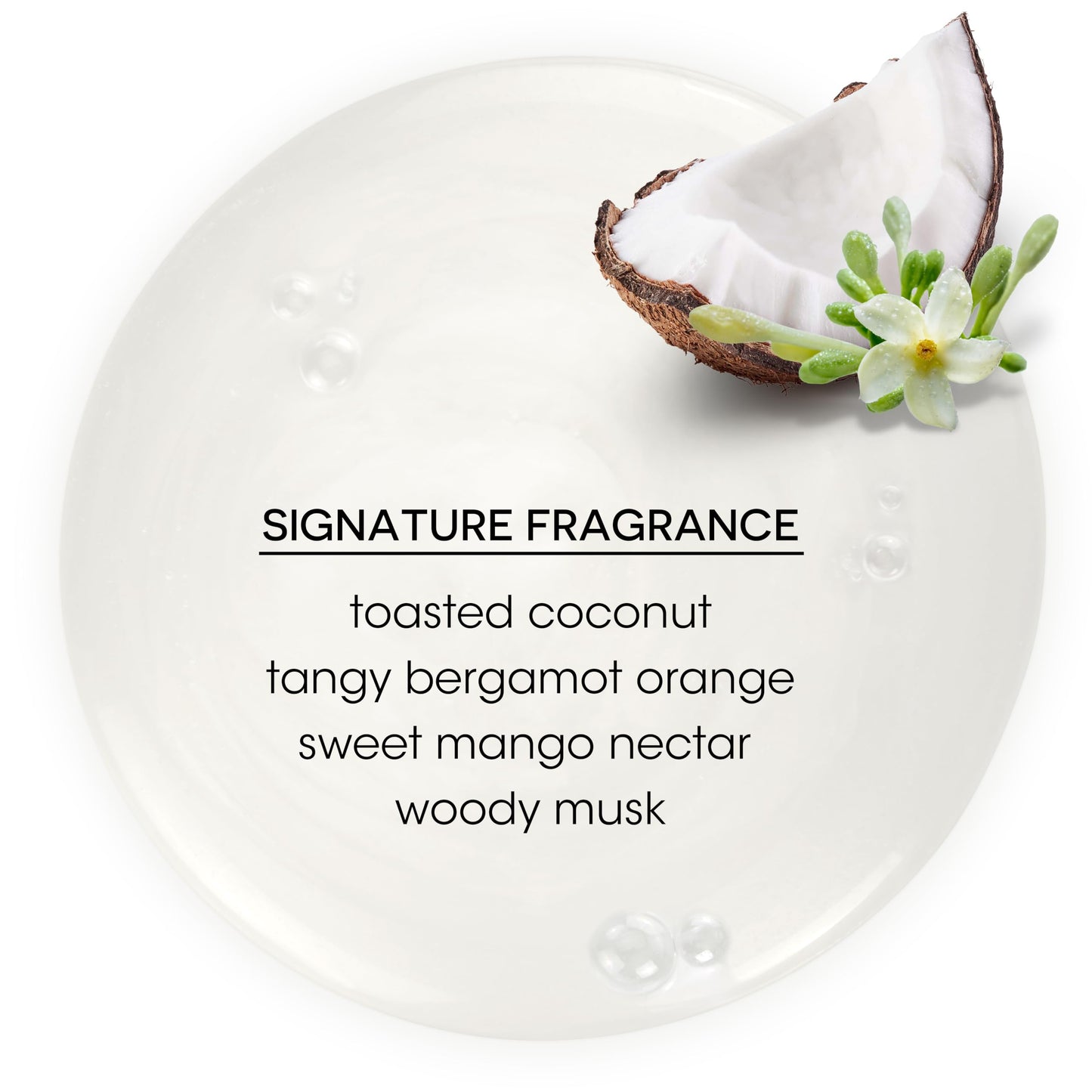 White Smoke Bain de Terre Coconut Papaya Ultra Hydrating Shampoo, Moisture Quench for Dry, Damaged Hair, with Argan & Monoi Oils, Paraben-Free, Color-Safe, Vegan, 33.8 Fl Oz