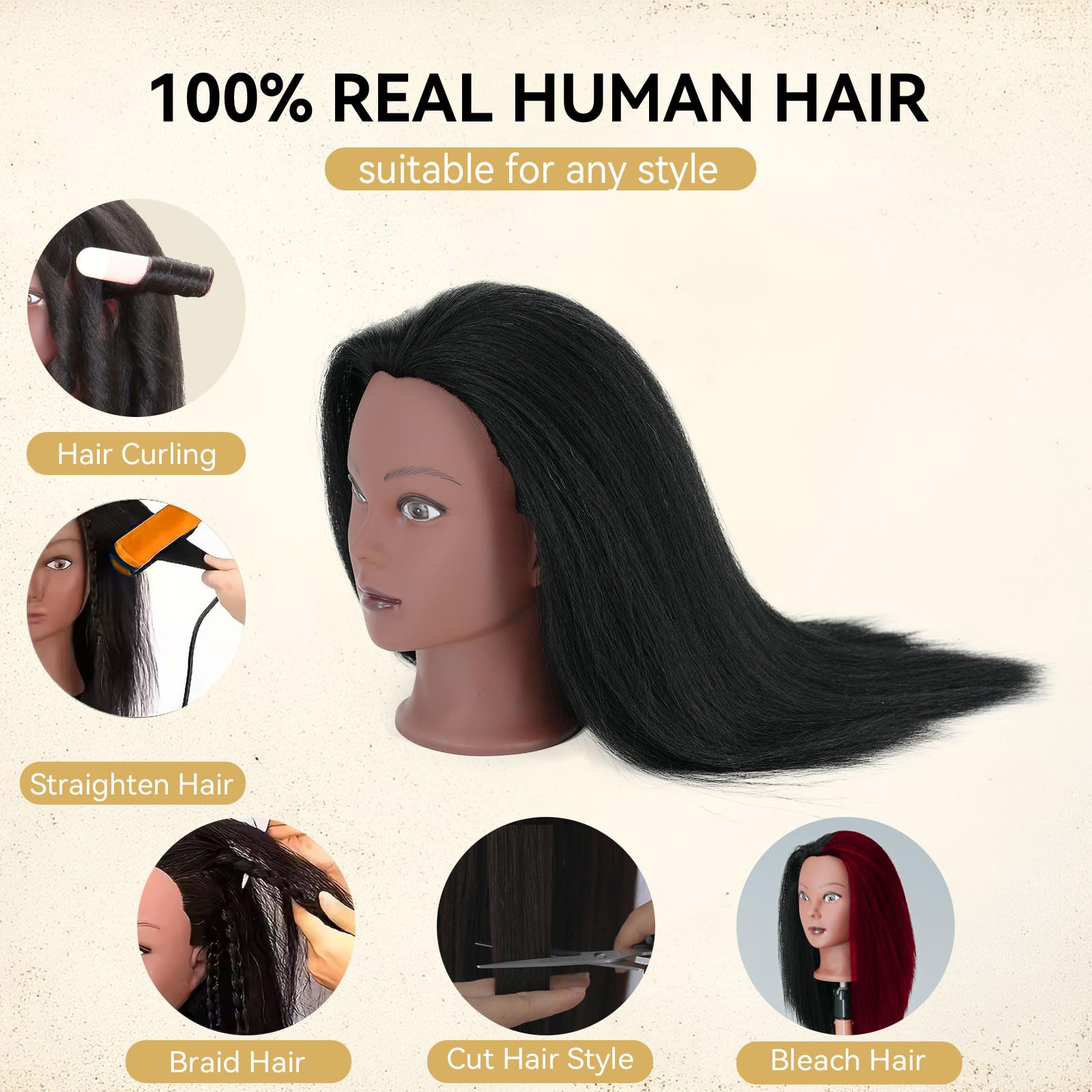 Seashell Mannequin Head with Human Hair 16'' Cosmetology Manikin Doll Head with 100% Real Human Hair Trainning Head for Hairdresser Practice Braiding Hair Styling with Clamp Stand