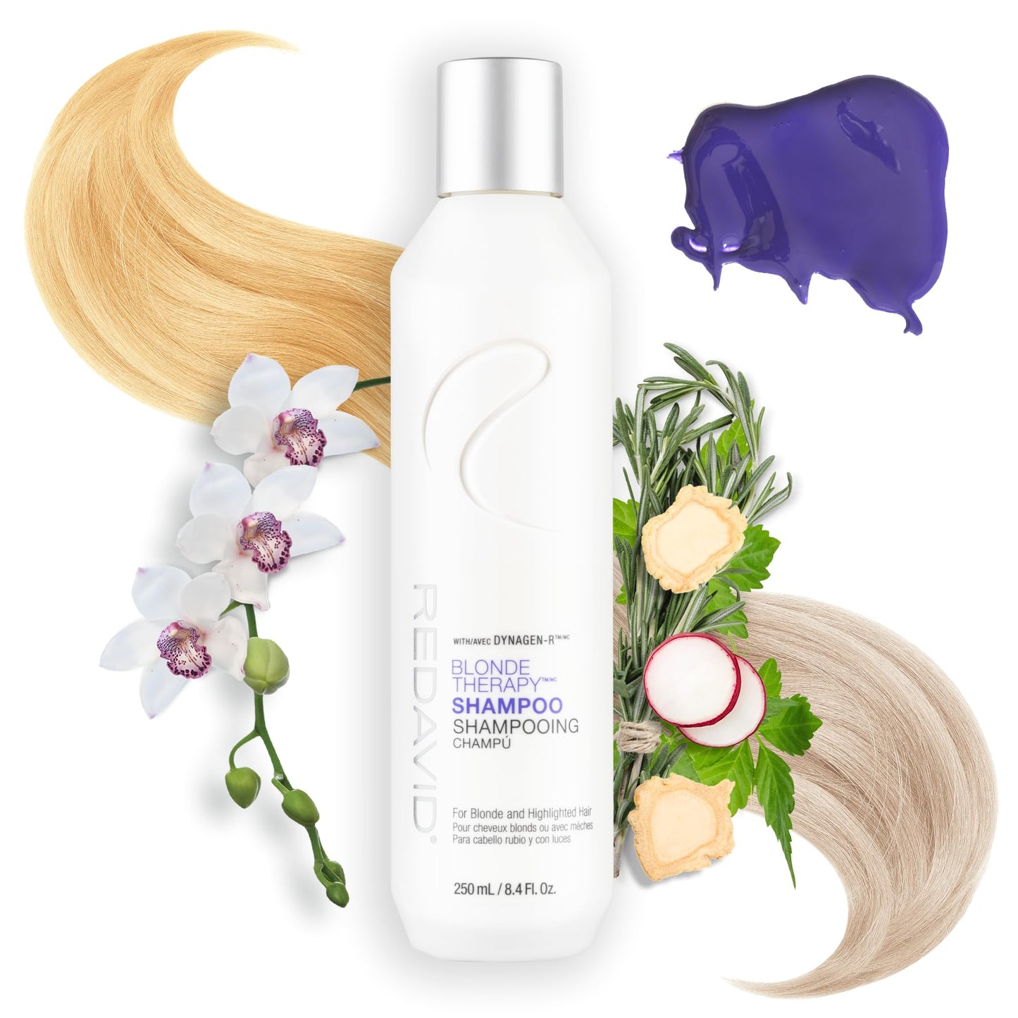 White Smoke Redavid Blonde Therapy Daily Shampoo for Blonde and Highlighted Hair with Cymbidium Orchid and Hemp Seed Oil - Daily Toning, Clinical Repair, and Amplified Shine (250ml)