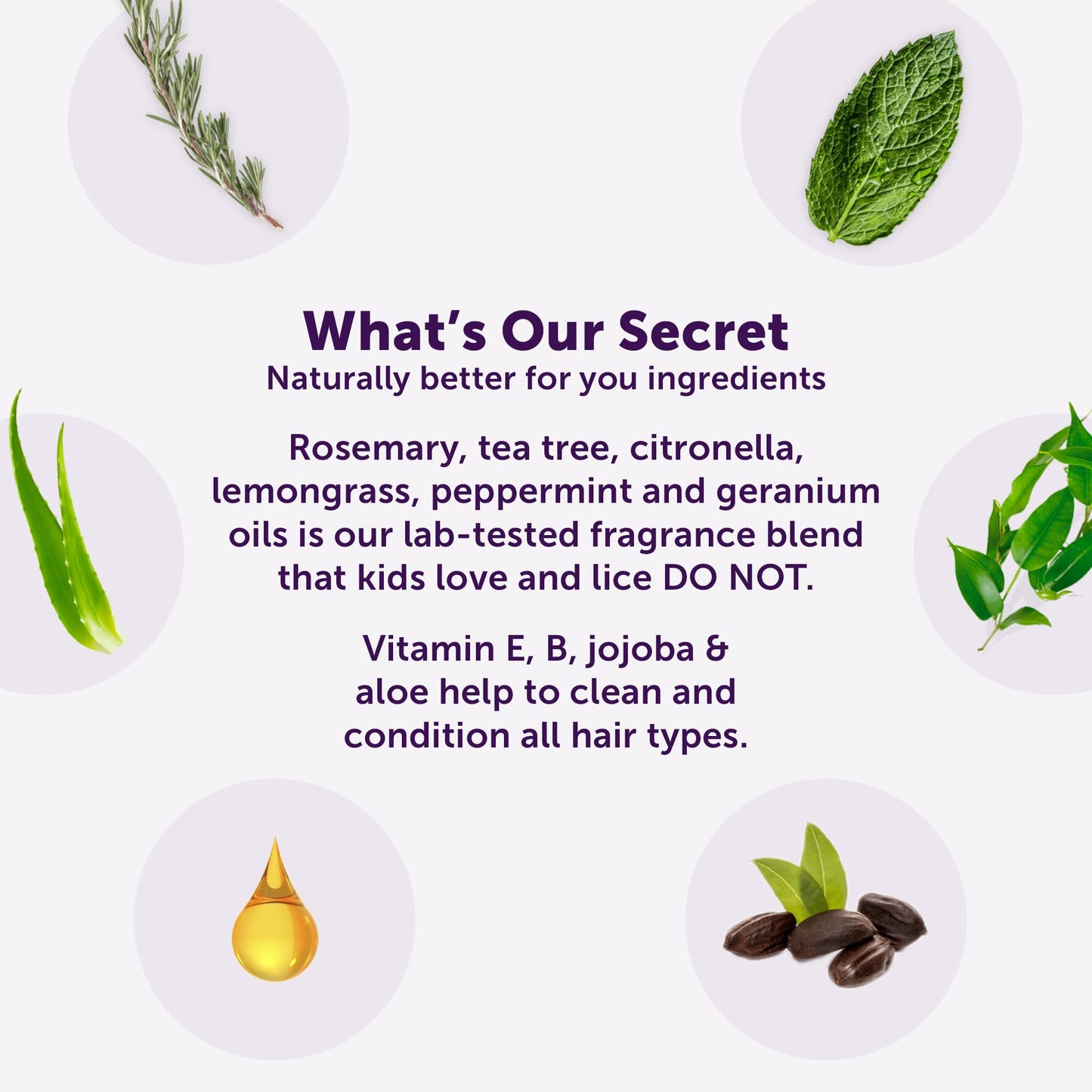 White Smoke Fairy Tales Rosemary Repel Shampoo 12oz, Conditioner 8oz, Conditioning Spray 8oz, plus Daily Cleanse Shampoo 12oz, and Daily Cleanse Conditioner 12oz | Everyday Kids Shampoo and Conditioner Bundle