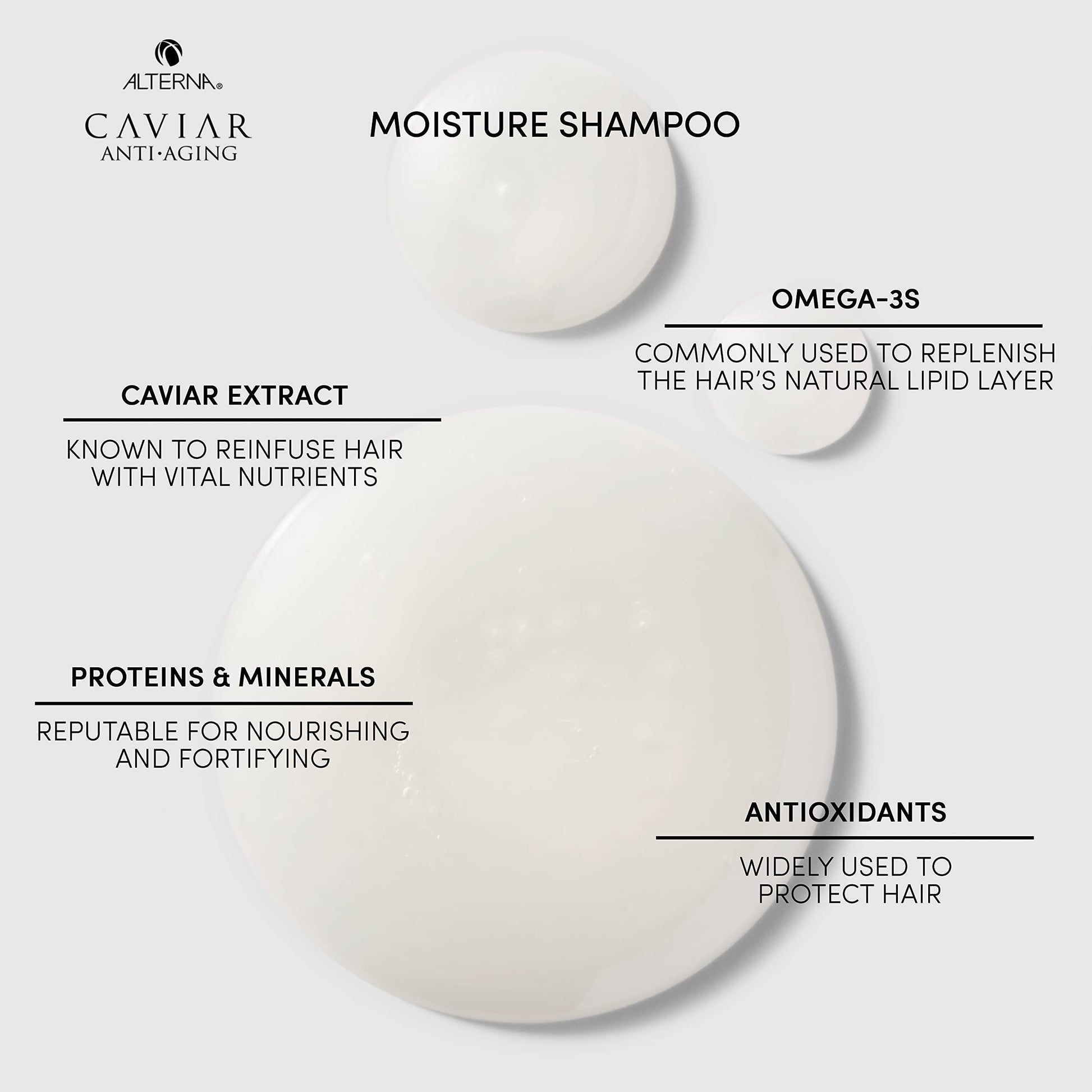 Lavender Alterna Haircare CAVIAR Anti Aging Replenishing Moisture Shampoo, 8.5 Fl Oz (Pack of 1)