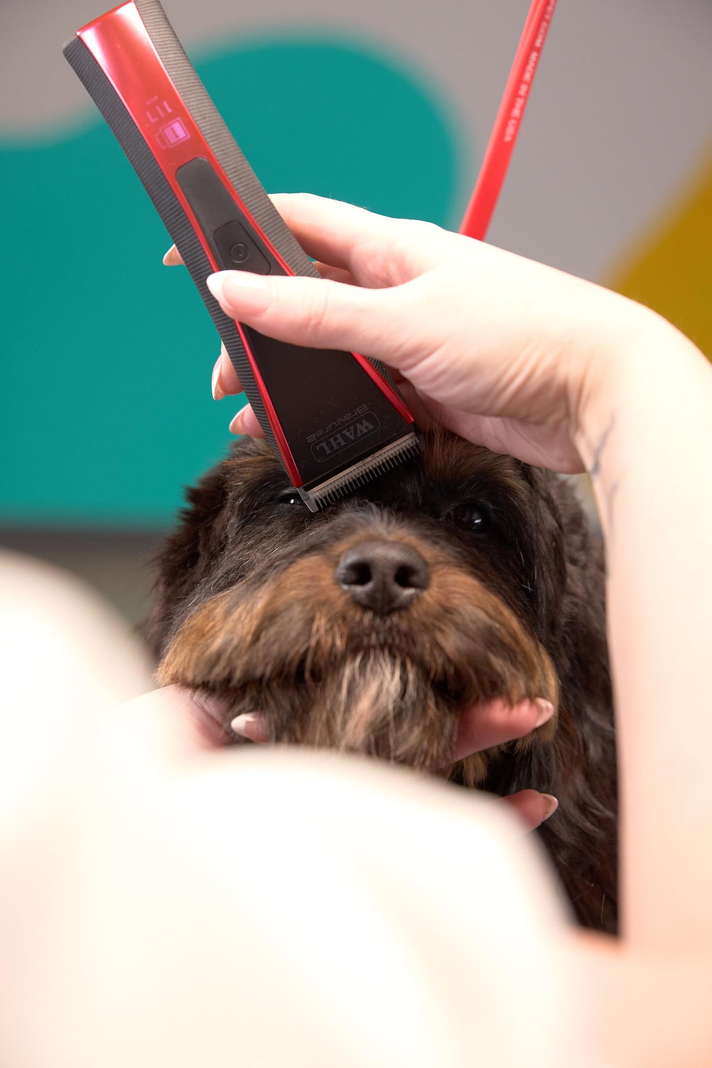 White Smoke Wahl Pro Animal Bravura2 - Cordless Professional Pet Clipper for Dogs, Cats & Horses - Multi-Speed - Durable & Easy to Carry - USB Charging - Travel-Friendly - Comfortable Grip - Brilliant Rose