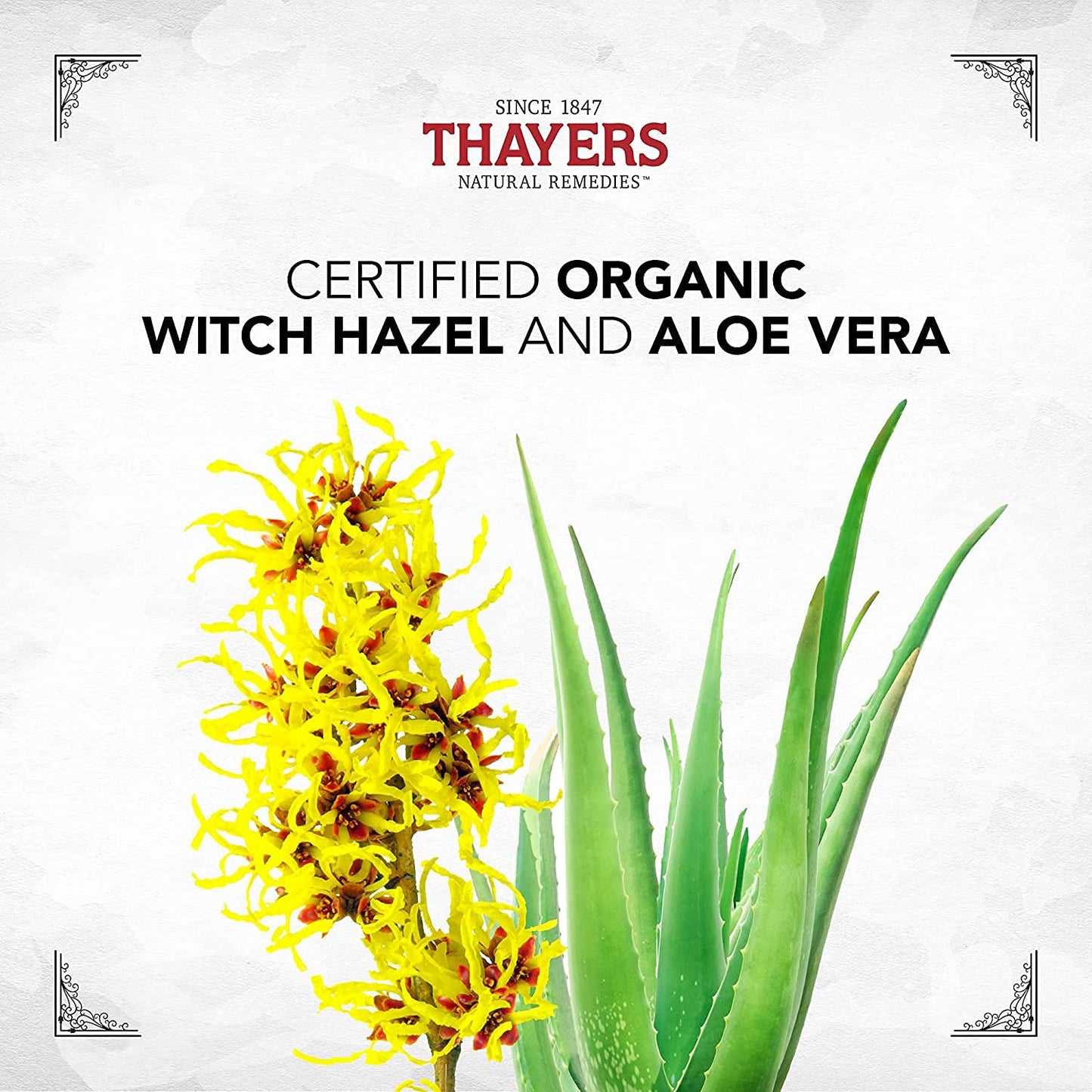 White Smoke Thayers Facial Toner, Witch Hazel with Aloe Vera, Rose Petal, 12 Fl Oz (Pack of 2)