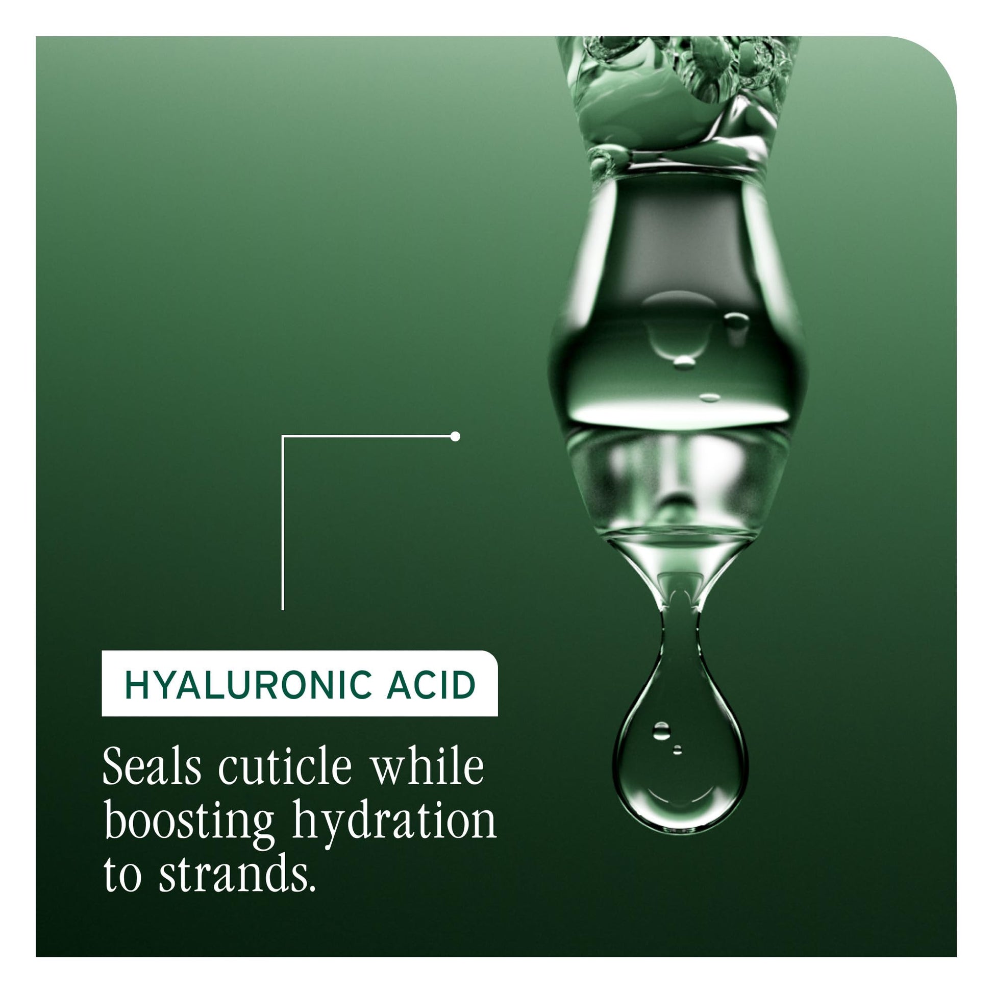 Black Biolage Hydra Source Shampoo - Softens, Moisturizes & Adds Shine, For Dry Hair, Infused with Micro-Filtered Aloe Vera & Fermented Hyaluronic Acid, Vegan & Paraben-Free, 1.7 Fl Oz