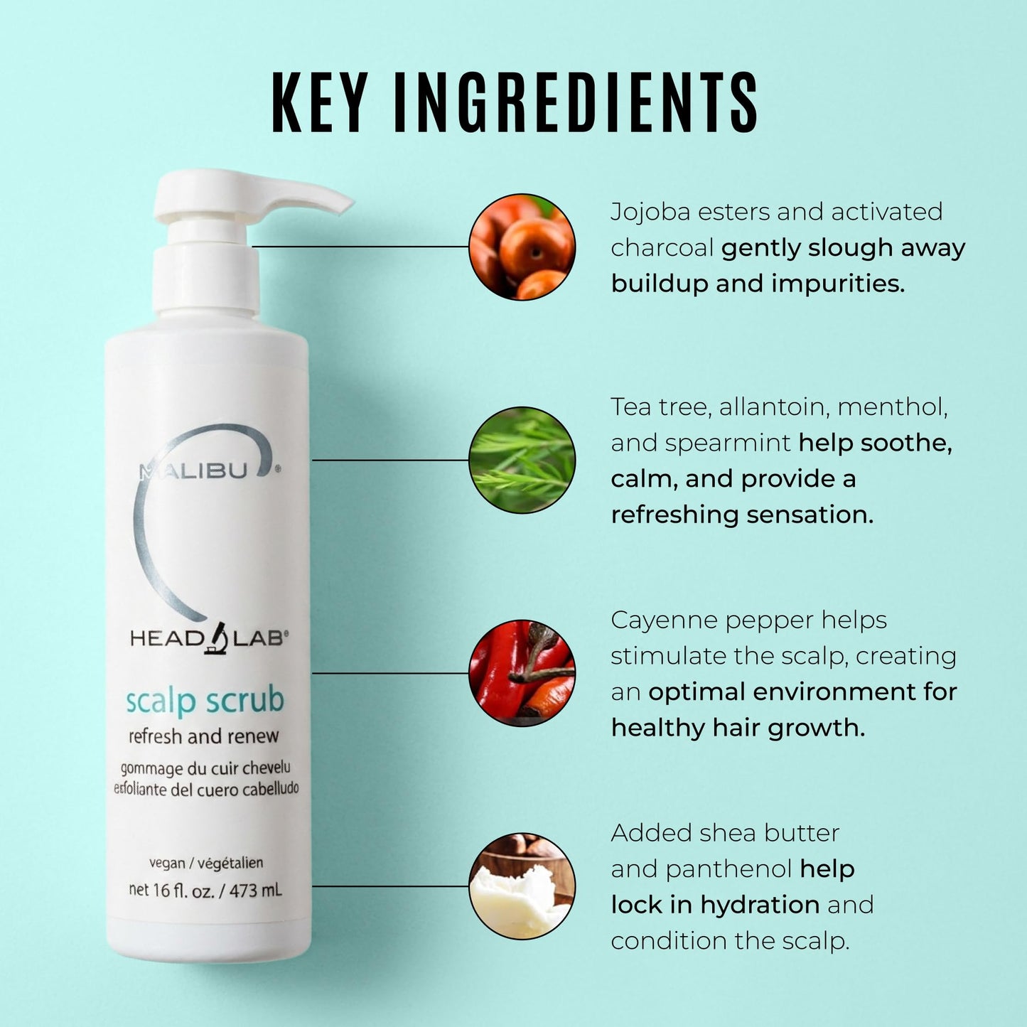 Powder Blue Malibu C Head Lab Scalp Scrub - Gentle Scalp Exfoliator Enriched with Activated Charcoal. Jojoba Esters for Improved Scalp Health - Clean, Vegan Hair Care (6 oz)