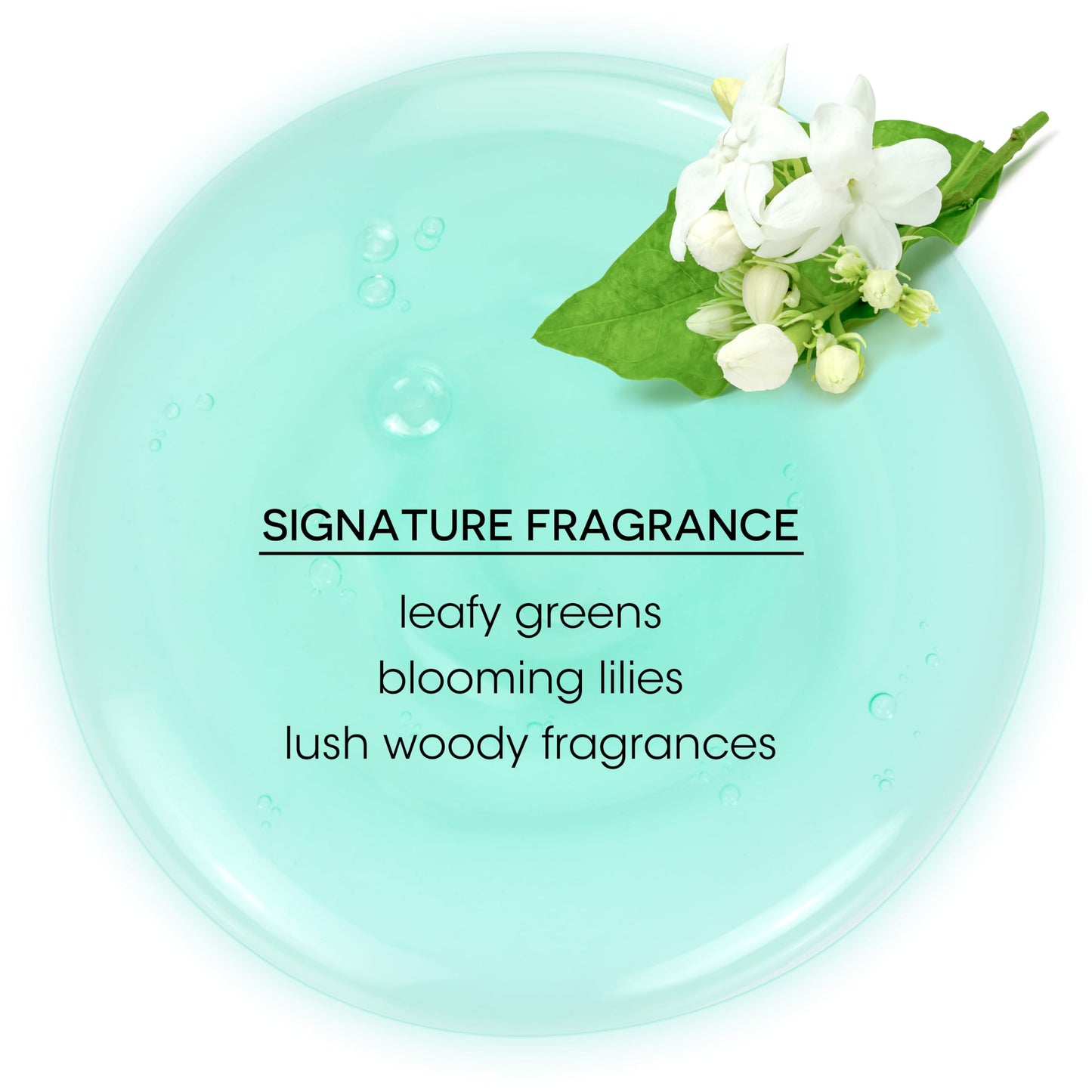 Pale Turquoise Bain de Terre Green Meadow Balancing Shampoo, Gentle Cleansing for Soft, Silky Hair with Argan & Monoi Oils, Paraben-free, Color-Safe, 13.5 Fl Oz