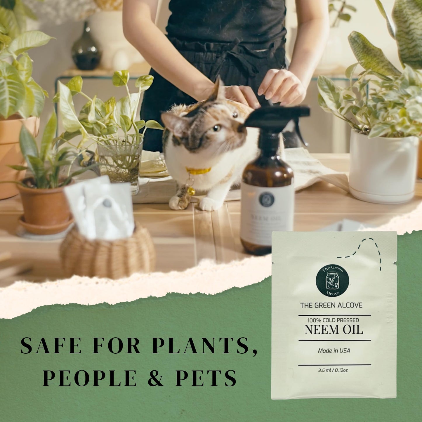 Dim Gray 100% Cold Pressed Neem Oil Spray Refill for Indoor and Outdoor Garden Plants, Makes 80 fl oz | The Green Alcove…