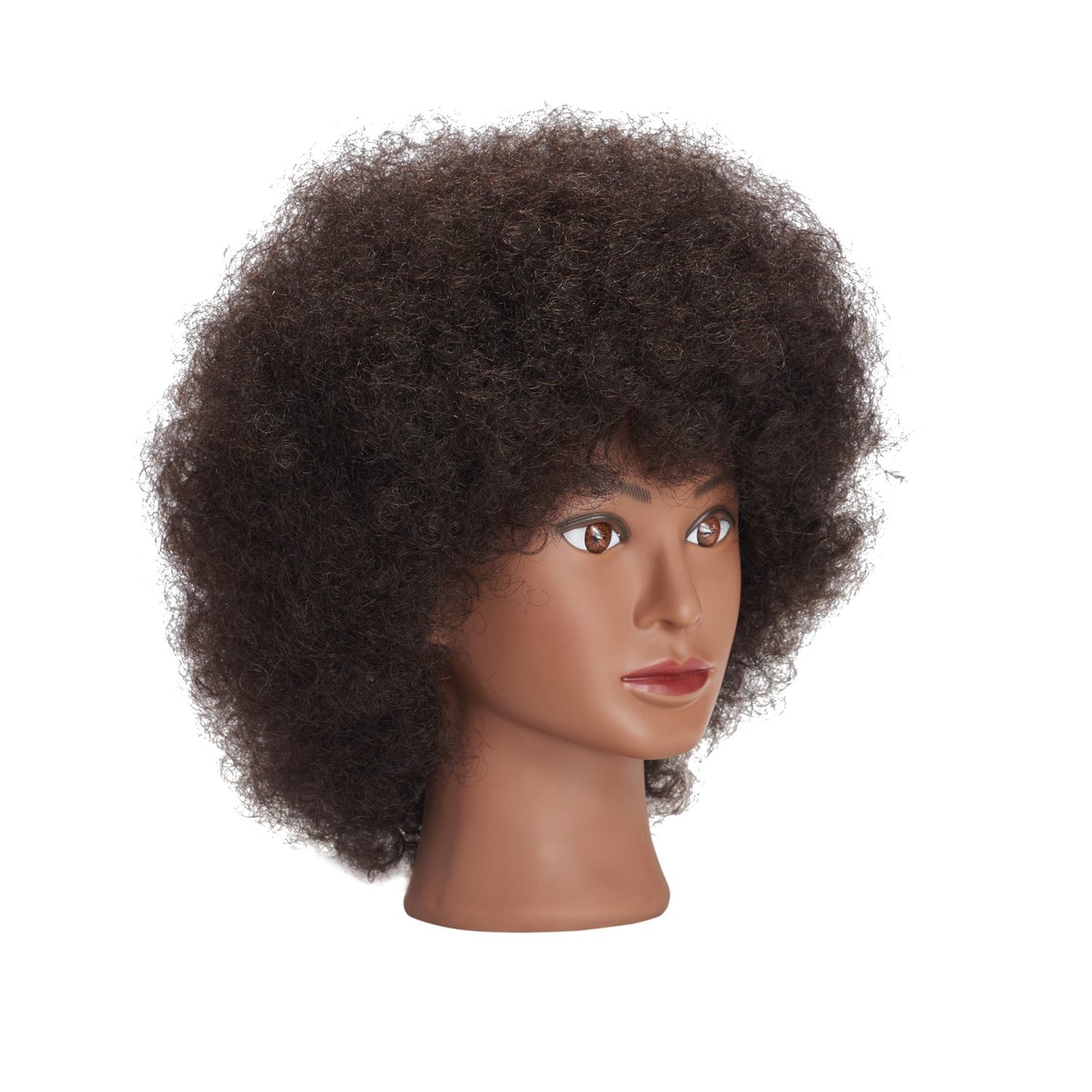 White Smoke Traininghead 100% Real Hair Mannequin Head Training Head Cosmetology Doll Head Manikin Practice Head Hairdresser with Free Clamp Holder Female (10 inches afro hair C)