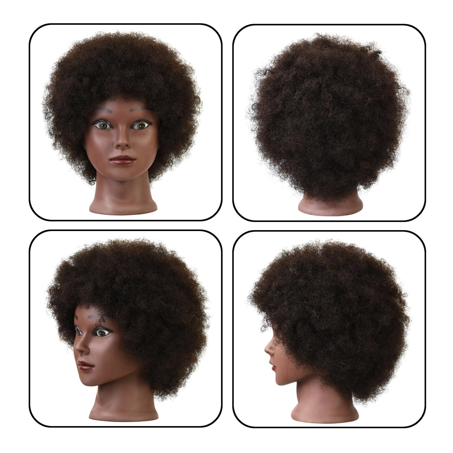 White Smoke Afro Mannequin Head with 100% Human Hair Curly Hair Hairdresser Hair Styling Manikin Head Cosmetology Doll Head for Display Practice Braiding Styling with Clamp Stand