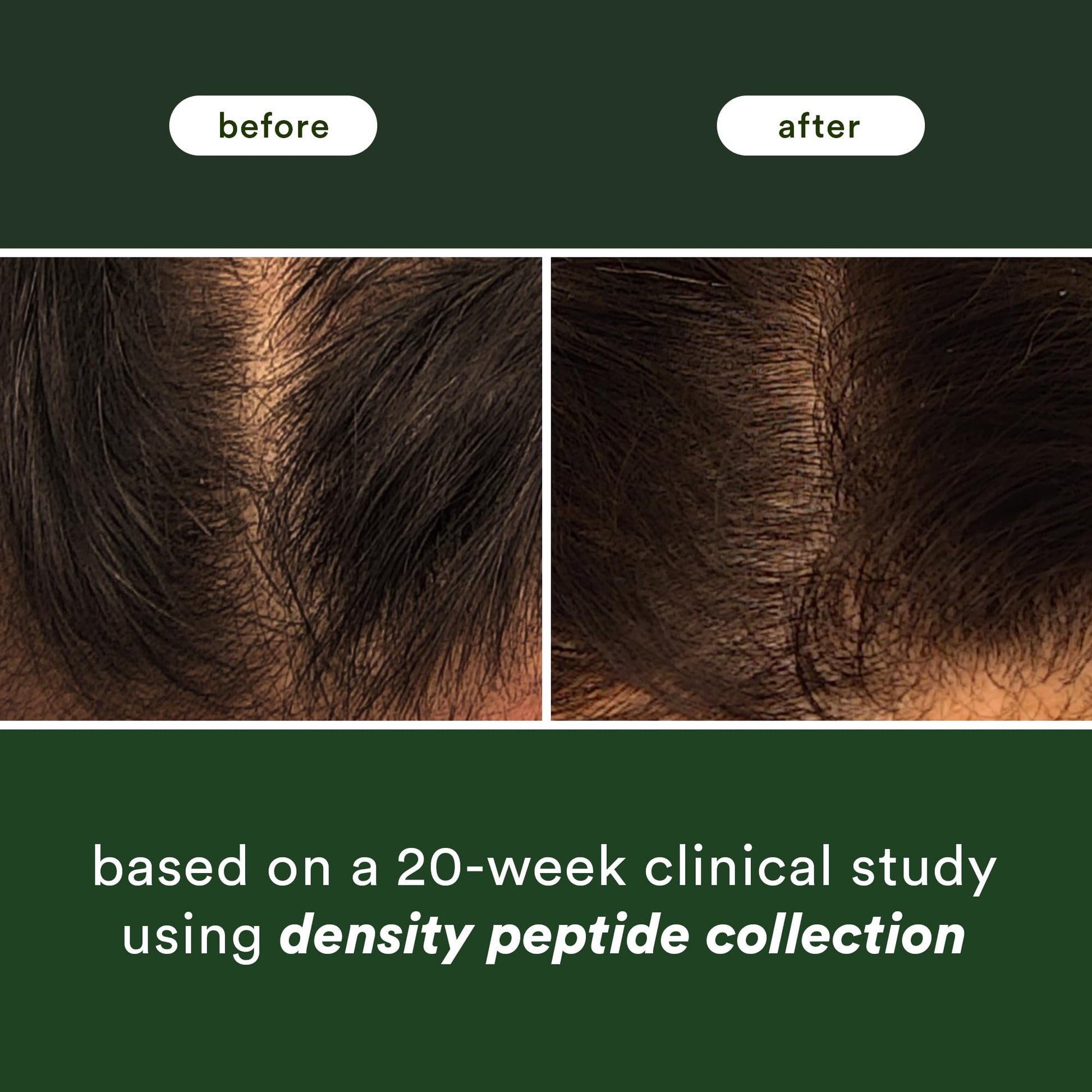Black VERB Density Peptide Shampoo 12 fl oz - Visibly Thicken + Reduce Signs of Shedding- No Parabens or Harmful Sulfates