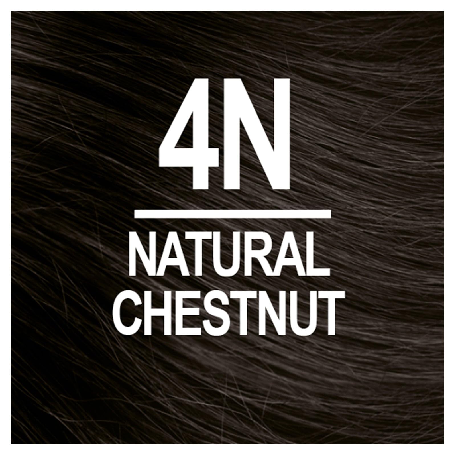 Black Naturtint Mens Permanent Hair Color for Hair Beard and Mustache (4N Men's Natural Chestnut)