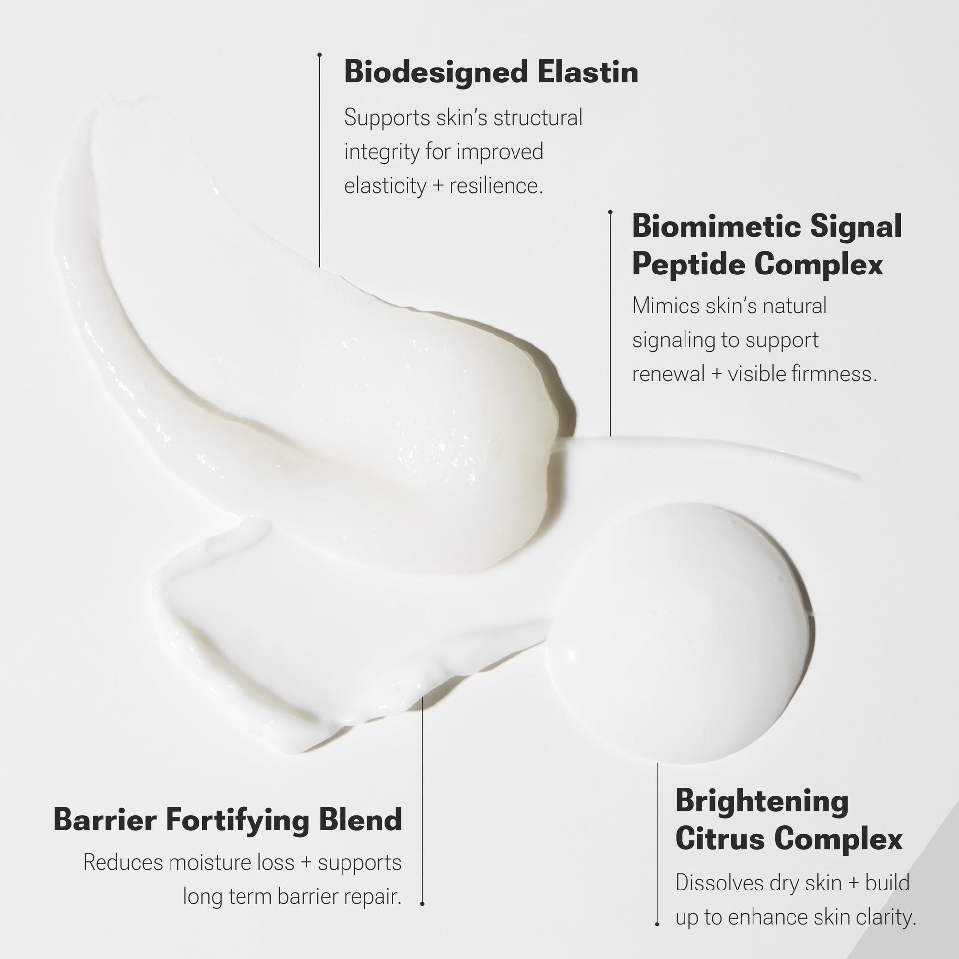 Lavender NULASTIN Dermal Rejuvenating Skincare System - Facial Cleanser, Moisturizer and Peptide Face Serum Trio to Support the Look of Firmness and Elasticity