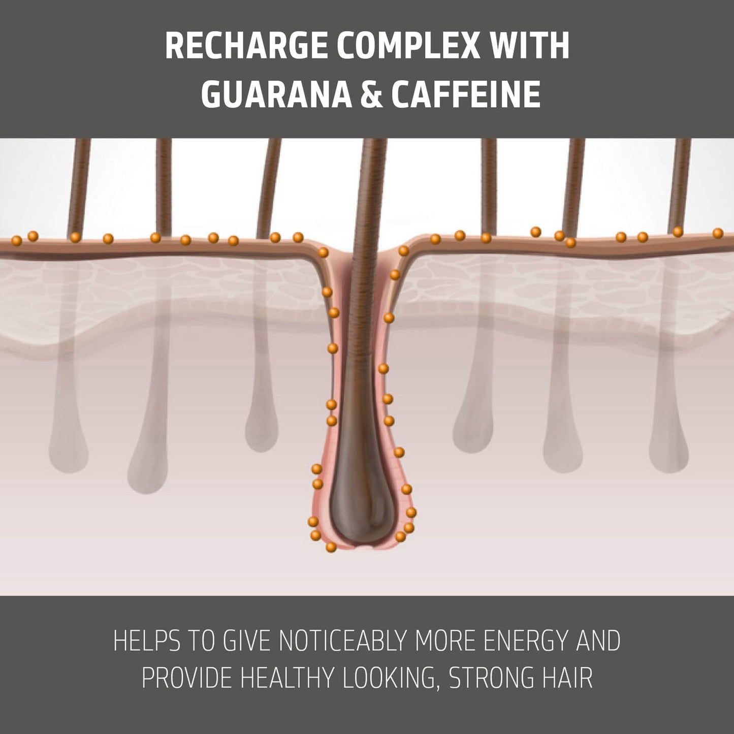 Dim Gray Goldwell Dualsenses Men Tonic Activating Scalp Tonic to Instantly Refresh & Revitalize, 150mL