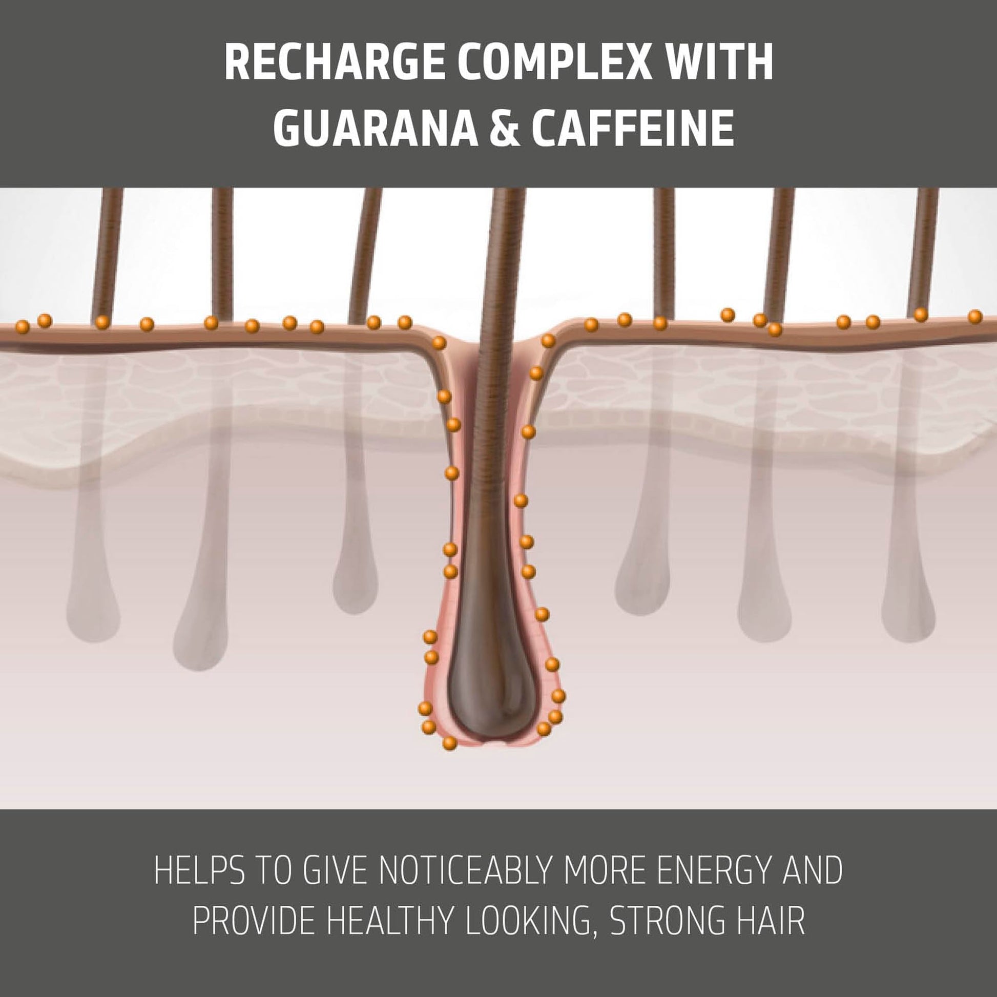 Dim Gray Goldwell Dualsenses Men Tonic Activating Scalp Tonic to Instantly Refresh & Revitalize, 150mL
