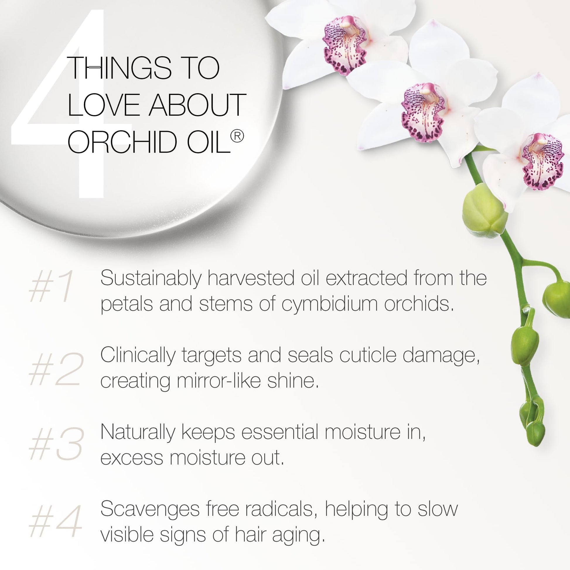 White Smoke REDAVID Orchid Oil Ultra Nourishing Treatment - Luxury Hair Oil made from Cymbidium Orchids for Damaged, Curly Hair - Clinically Strengthens, Adds Protein & Hydrates Hair (1 Fl Oz Travel Size)