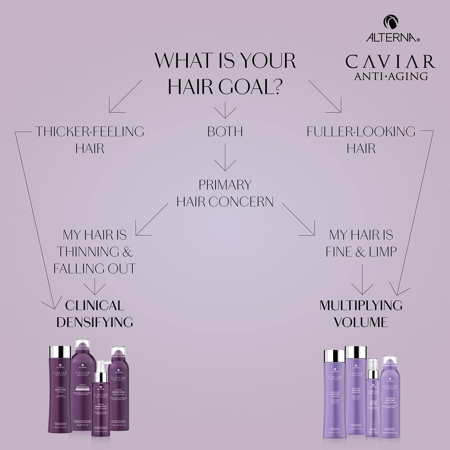 Gray Alterna Haircare CAVIAR Anti-Aging Multiplying Volume Conditioner 8.5Fl Oz | For Fine, Limp or Thin Hair | Create Instant Volume and Thickness | Sulfate Free