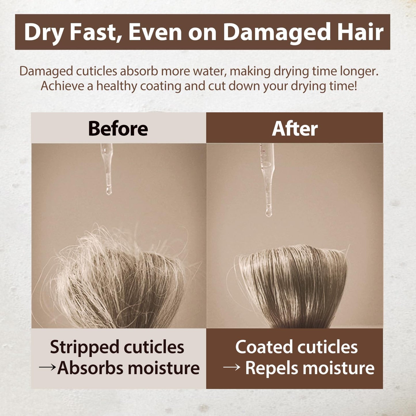 Dark Gray Mise En Scene Salon 10 Protein Shampoo for Severe Damaged Hair - Low porosity Hair Product, Korean HairPerfume Shampoo, 10-Sec Protein Clinic, Moisturizing & Restoring, 16.9 Fl. Oz. (500ml)