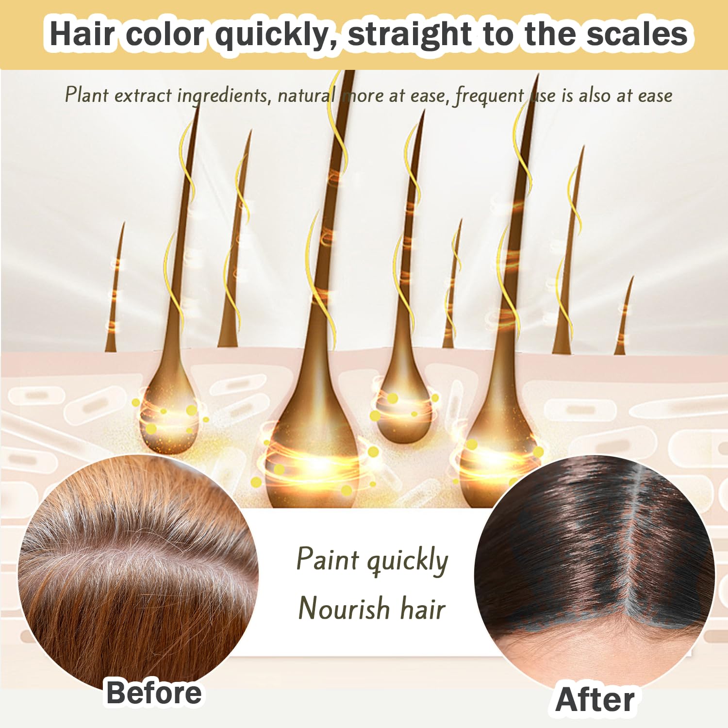 Seashell Nova Hair Dye Shampoo,Nova Hair Instant,Nova Hair Dye Shampoo 3 in 1, for Men & Women. (200ml Medium Brown)