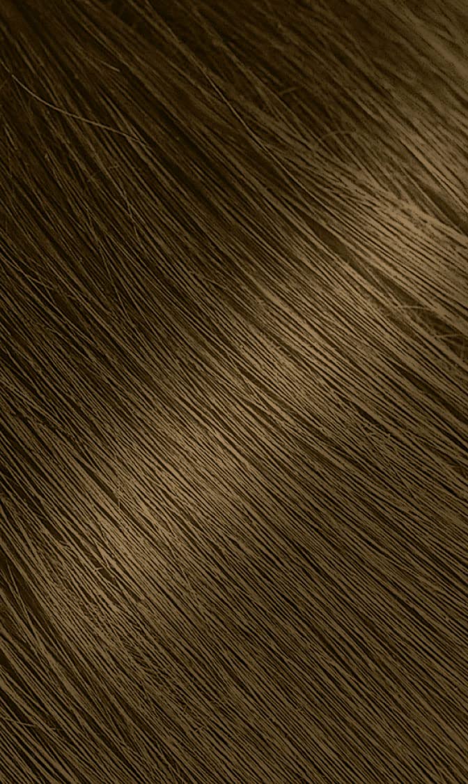 Dark Olive Green #26 Golden Brown Bigen Permanent Powder - 3 Pack