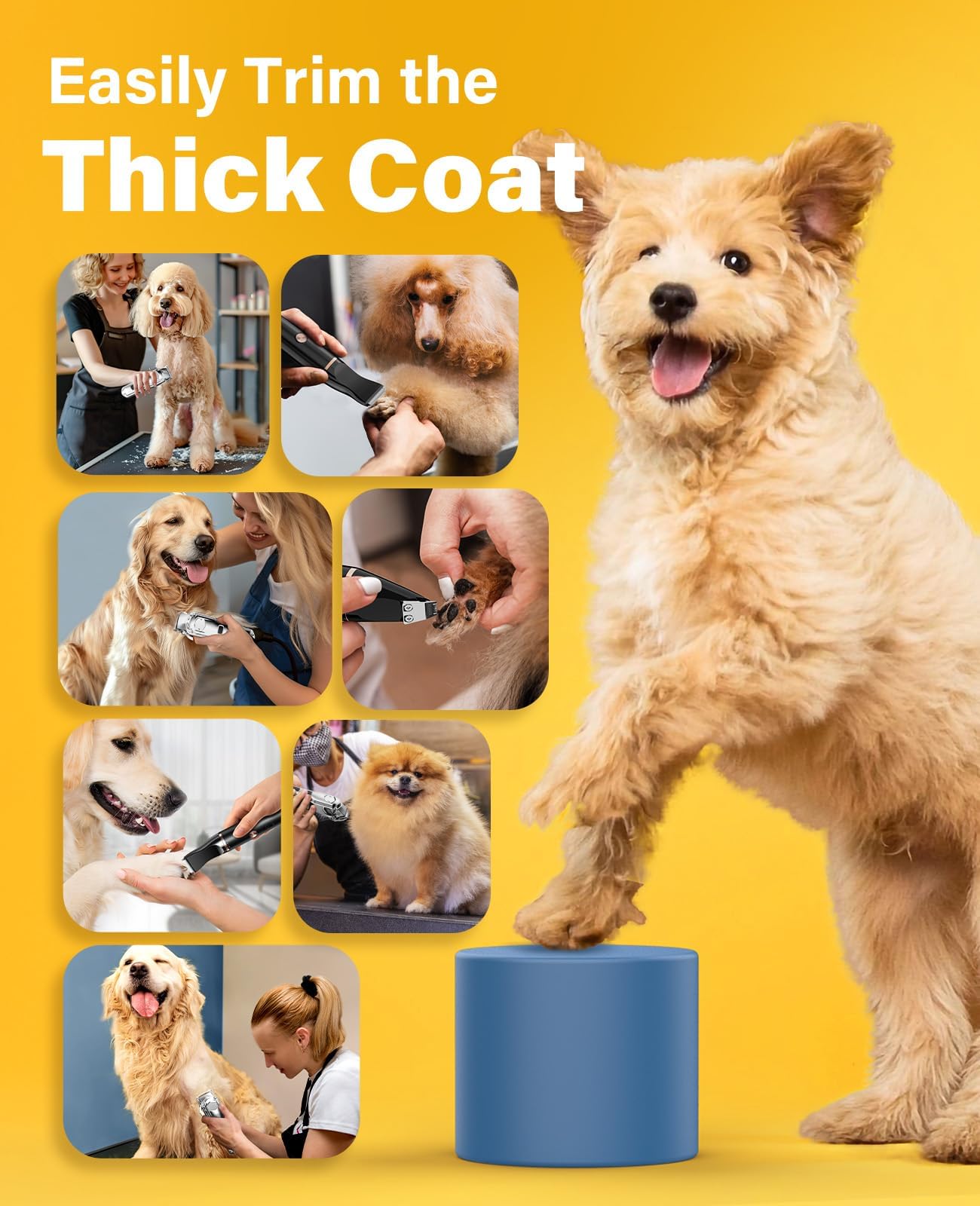 Goldenrod oneisall Dog Grooming Kit for Heavy Thick Hair&Coats/Low Noise Rechargeable Cordless Waterproof Dog Clippers for Grooming Animals&Pets/Pet Shaver with Stainless Steel Blade and Paw Trimmer
