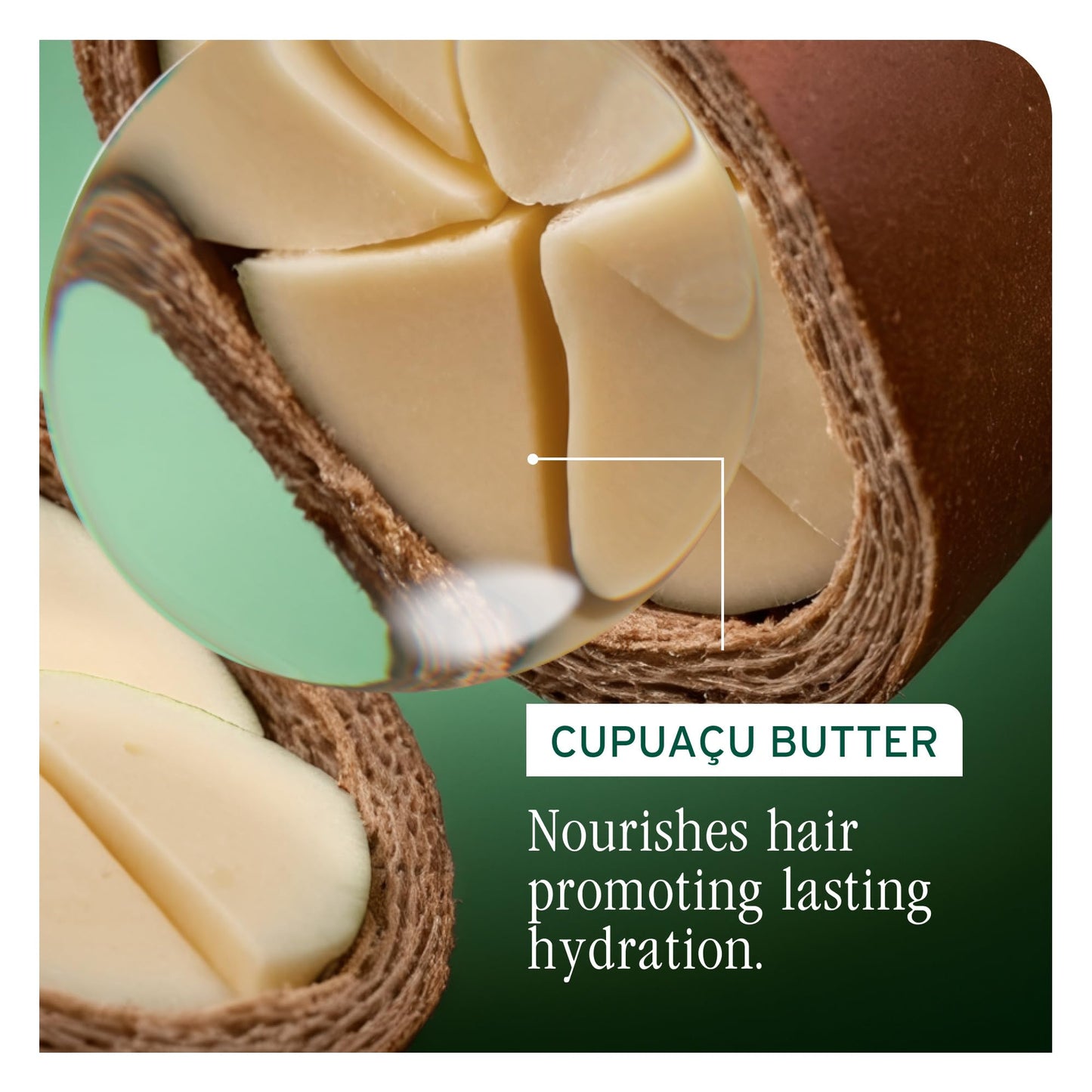 Dark Khaki Biolage Ultra Hydra Source Leave-In Cream - Moisturizes & Controls Frizz, For Very Dry, Thick, Hair, Infused with Micro-dosed with Cupuaçu Butter & Salicylic Acid