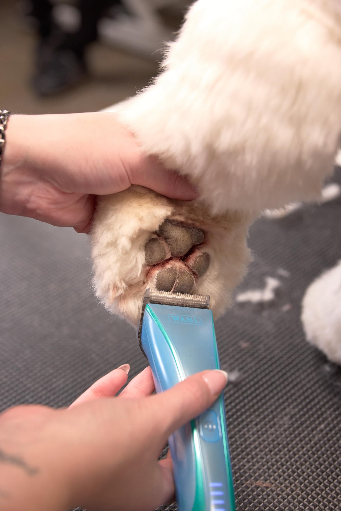Dark Slate Gray Wahl Pro Animal Motiva2 - Professional Pet Clipper for Dogs, Cats & Horses - Cordless - Digital Display with LED Indicator - Textured Grip - Easy to Carry & Travel Lock - Blue Ivy