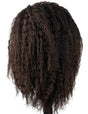 African American Mannequin Head with 100% Human Hair Manikin Head with Stand for Styling Hair Blowing Hair Cutting Braiding (Afro Kinky Straight)