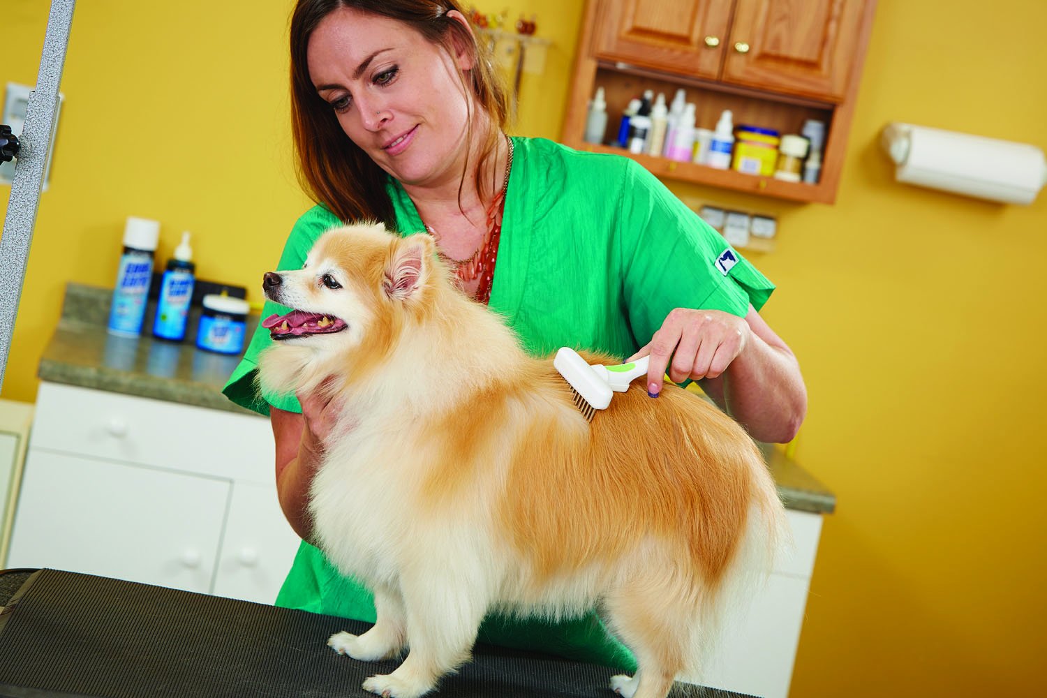 Goldenrod Andis 65735 Flexible Single Row Dog Brush - Removes Unwanted Shedding Hair with 360 Rotating or 13 Long Teeth - Promotes Healthy Skin & Glowing Coat - Ideal for Small to Medium Dogs - White