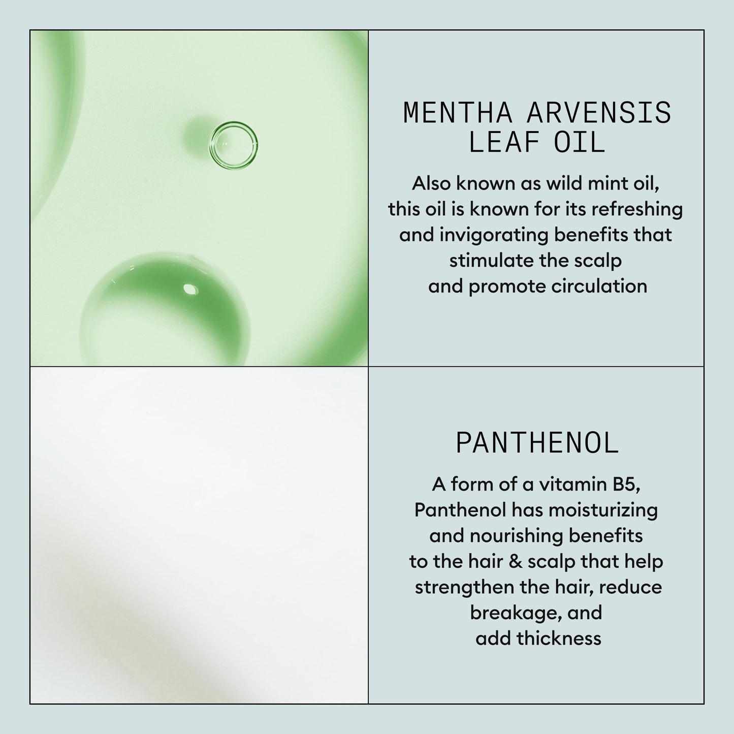 Lavender NIOXIN Density Defend Styling Strong Hold Hairspray For Long-Lasting Hairstyles Humidity Resistant 10.6 Fl oz.