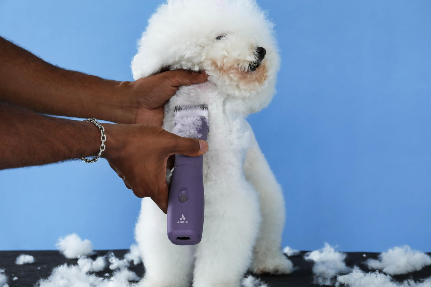 Cornflower Blue Andis Emerge Lithium-ion Cordless Detachable Blade Dog Clipper, for All Coats & Breeds, Purple, 560489