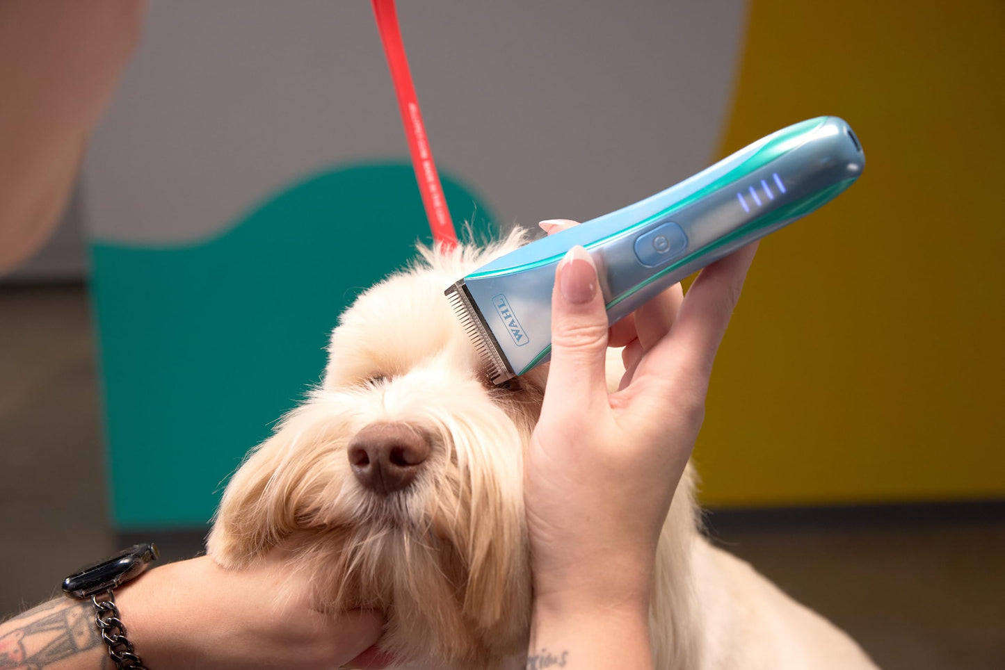 Saddle Brown Wahl Pro Animal Motiva2 - Professional Pet Clipper for Dogs, Cats & Horses - Cordless - Digital Display with LED Indicator - Textured Grip - Easy to Carry & Travel Lock - Blue Ivy