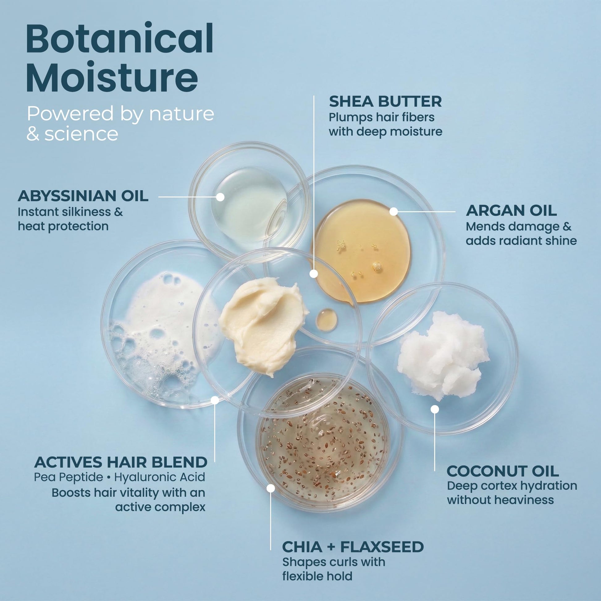 Light Steel Blue NABELA Deep Hydration Bimini Conditioner - Curl Enhancing & Anti-Frizz Treatment with Hyaluronic Acid, Shea Butter & Argan Oil - Weightless Moisture & Flexible Hold for Waves & Coils - 8 fl oz