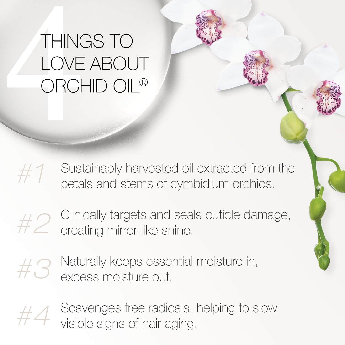 White Smoke Redavid Orchid Oil Curl Defining Creme with Coconut Oil and Meadowfoam Flower for Curly Hair - Ultra Nourishing Texture Enhancer - Clinically Strengthens, Adds Protein & Hydrates Hair.