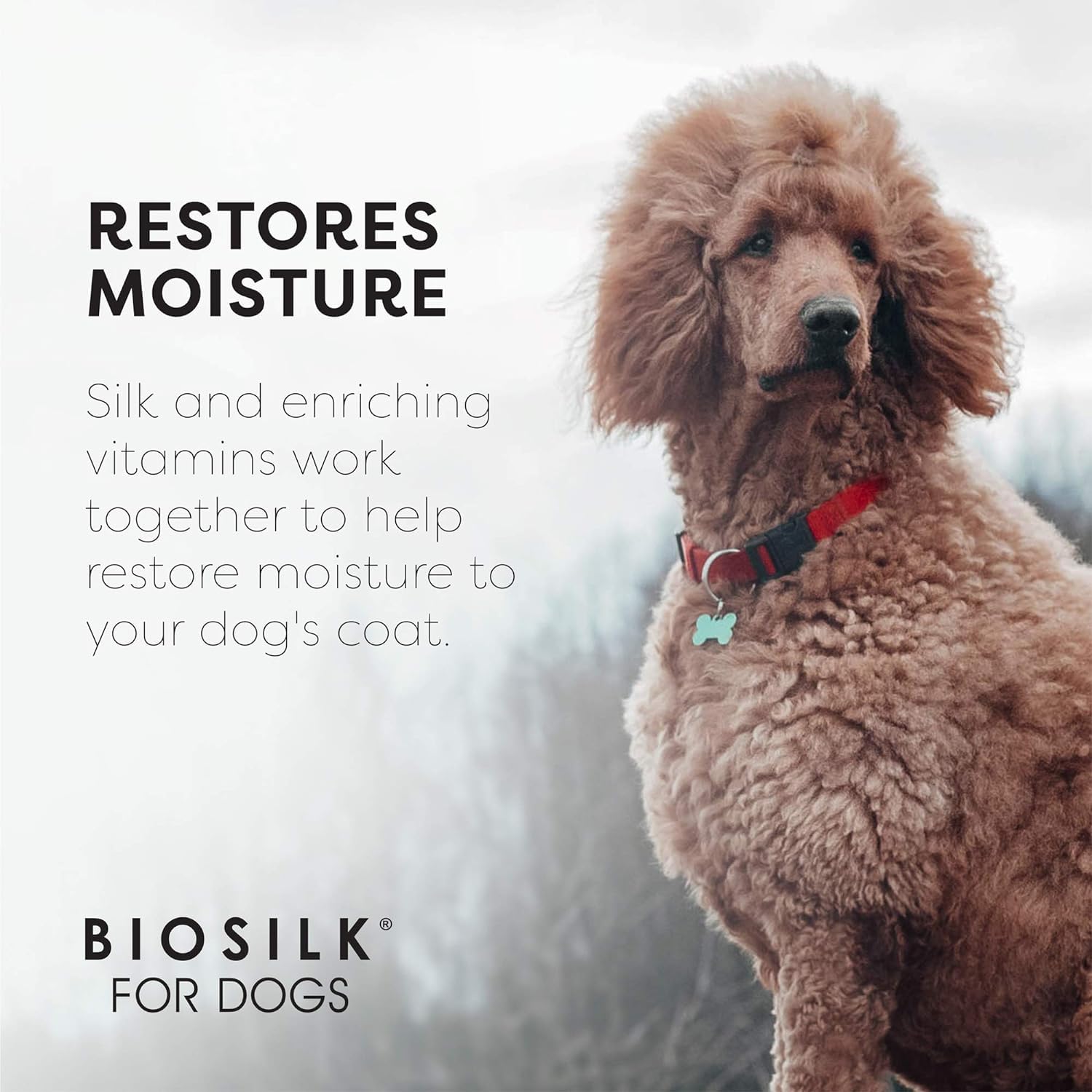 White Smoke BioSilk Silk Therapy Conditioning Detangling Spray for Dogs with Natural Coconut Oil - Dog Matted Hair Detangler Conditioner for Dogs, Dematting Grooming Supplies, 7 Fl Oz - 2 Pack