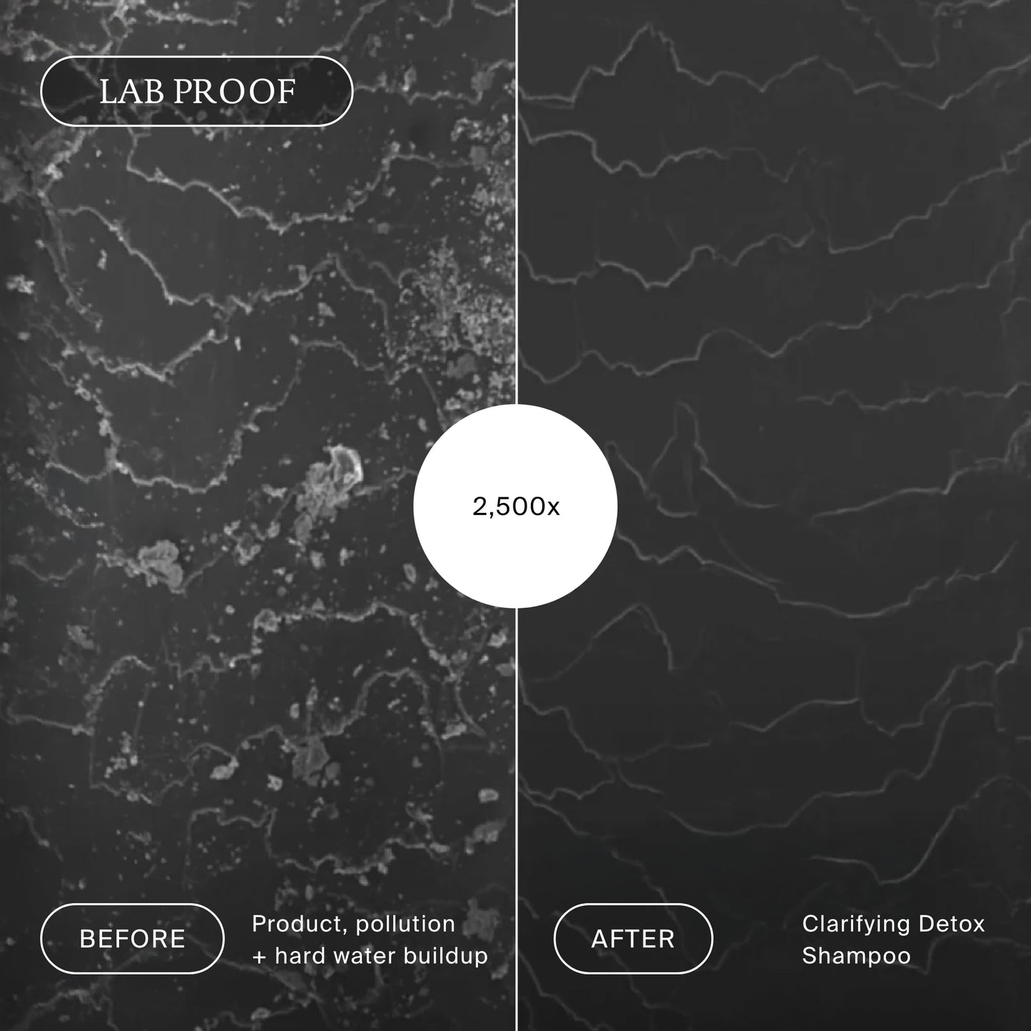 Dark Slate Gray Living proof Clarifying Detox Shampoo