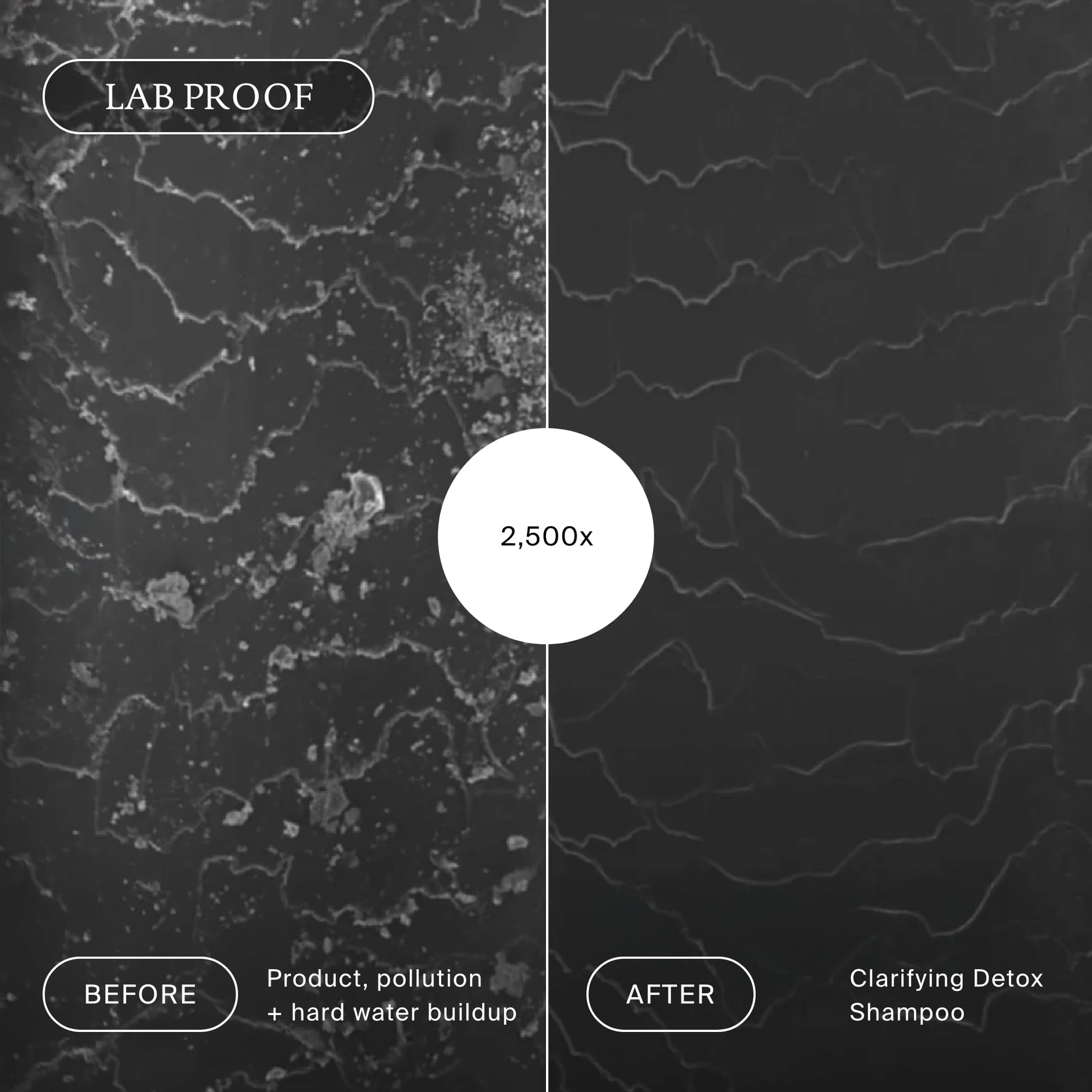 Dark Slate Gray Living proof Clarifying Detox Shampoo
