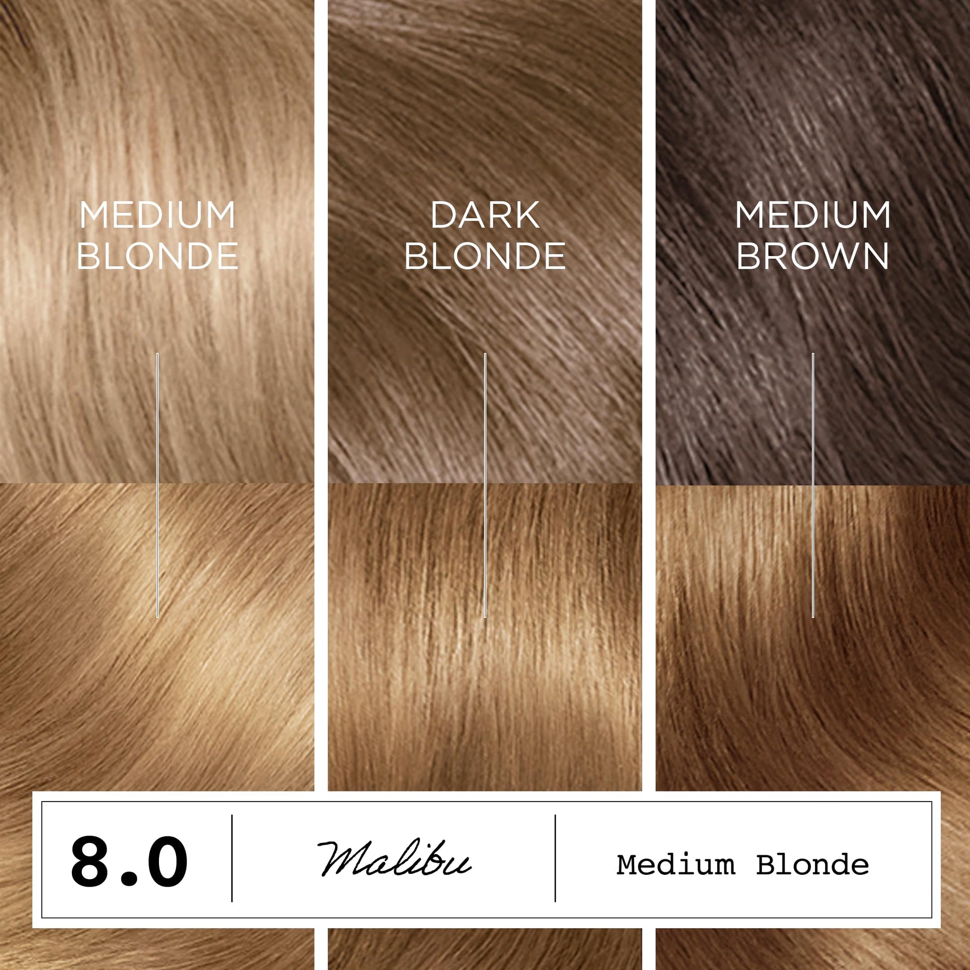 White Smoke Clairol ColorStrong Permanent Hair Dye, Ammonia‑Free, PPD‑Free, 100% Gray Coverage with Bonding System, 8.0 Medium Blonde - Malibu Hair Color, Pack of 1