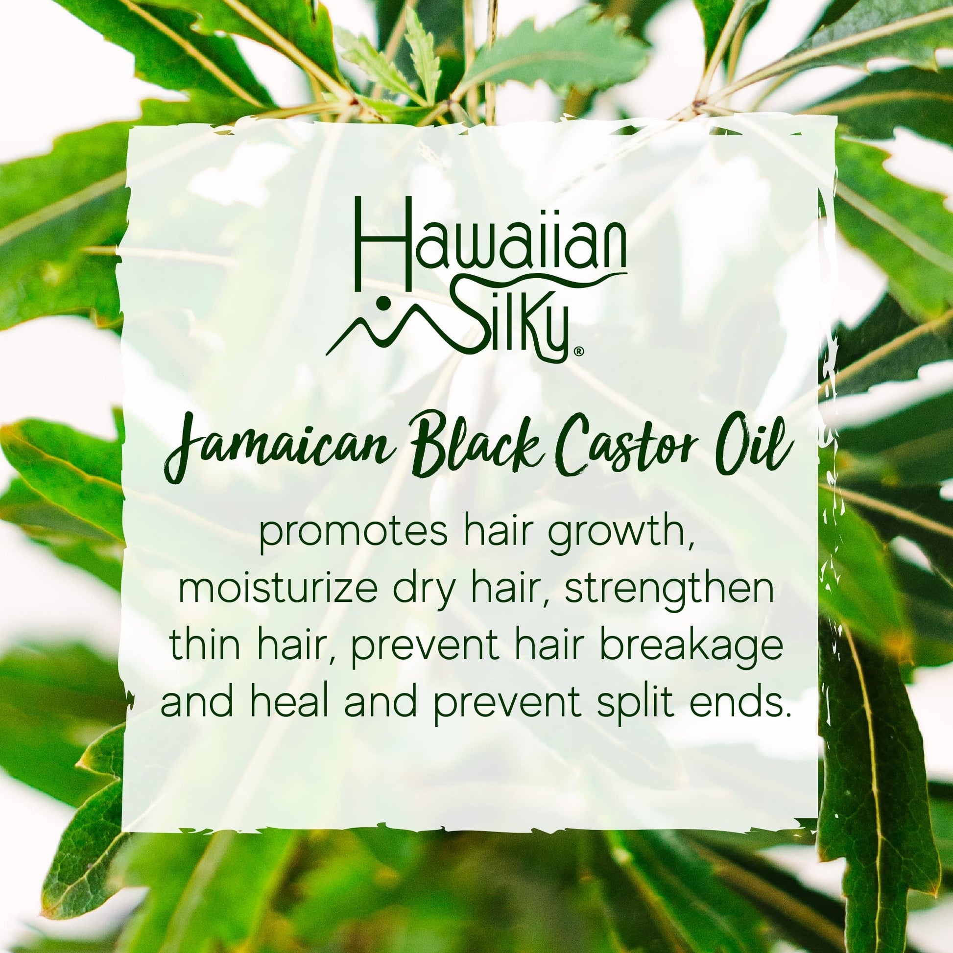 White Smoke Hawaiian Silky Jamaican Black Castor Oil & Avocado Oil