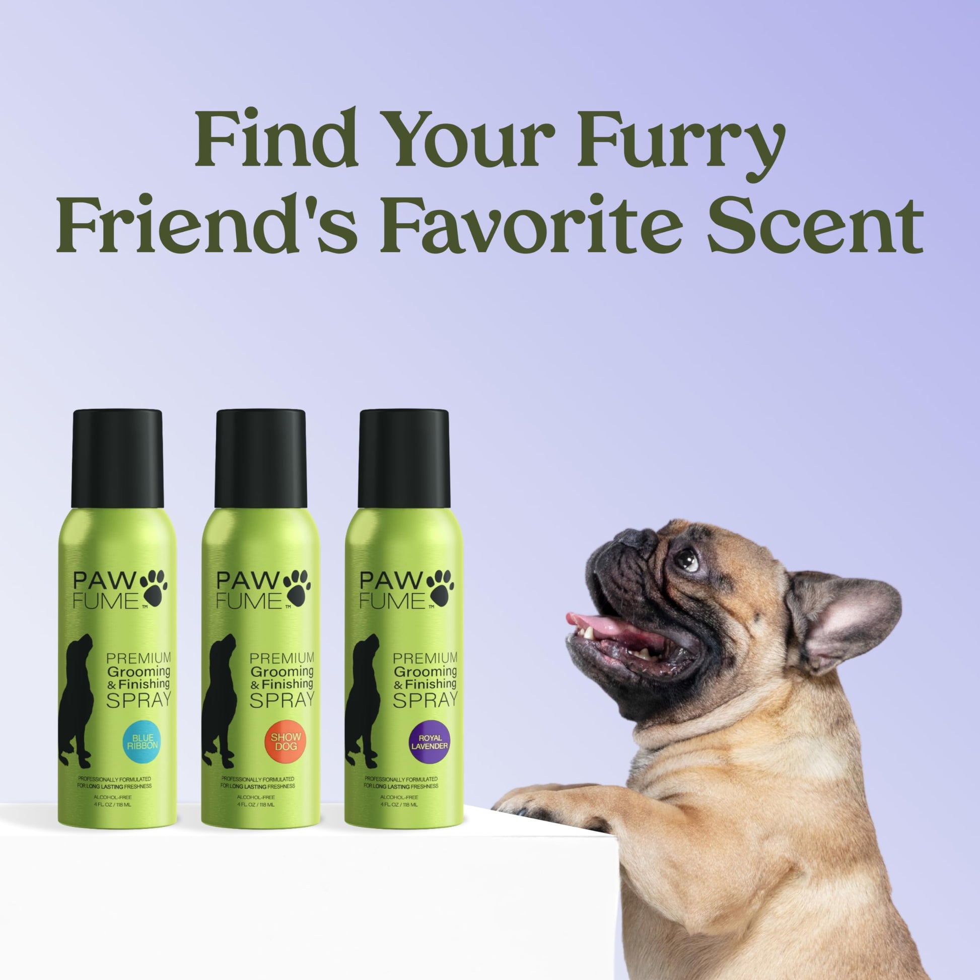 Thistle PAWFUME Dog Detangler Grooming Spray, Royal Lavender, 1-Pack – Keeps Pups Fresh All Day – Hypoallergenic, Alcohol-Free, Detangling & Moisturizing – Salon-Quality Dog Necessities for Coat & Fur Care