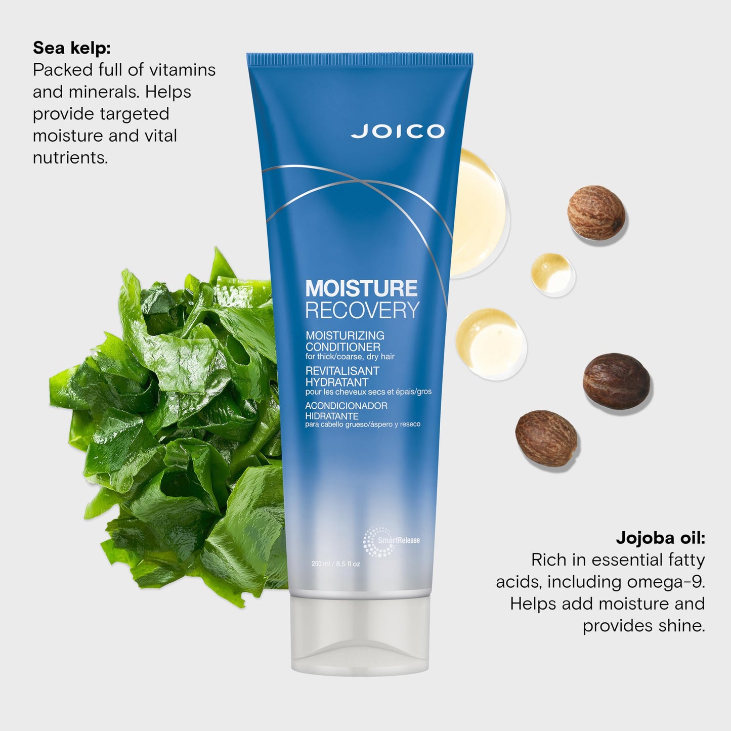 Lavender Joico Moisture Recovery Moisturizing Conditioner | For Thick, Coarse, Dry Hair | Restore Moisture, Smoothness, Strength, & Elasticity | Reduce Breakage | With Jojoba Oil & Shea Butter | 8.5 Fl Oz